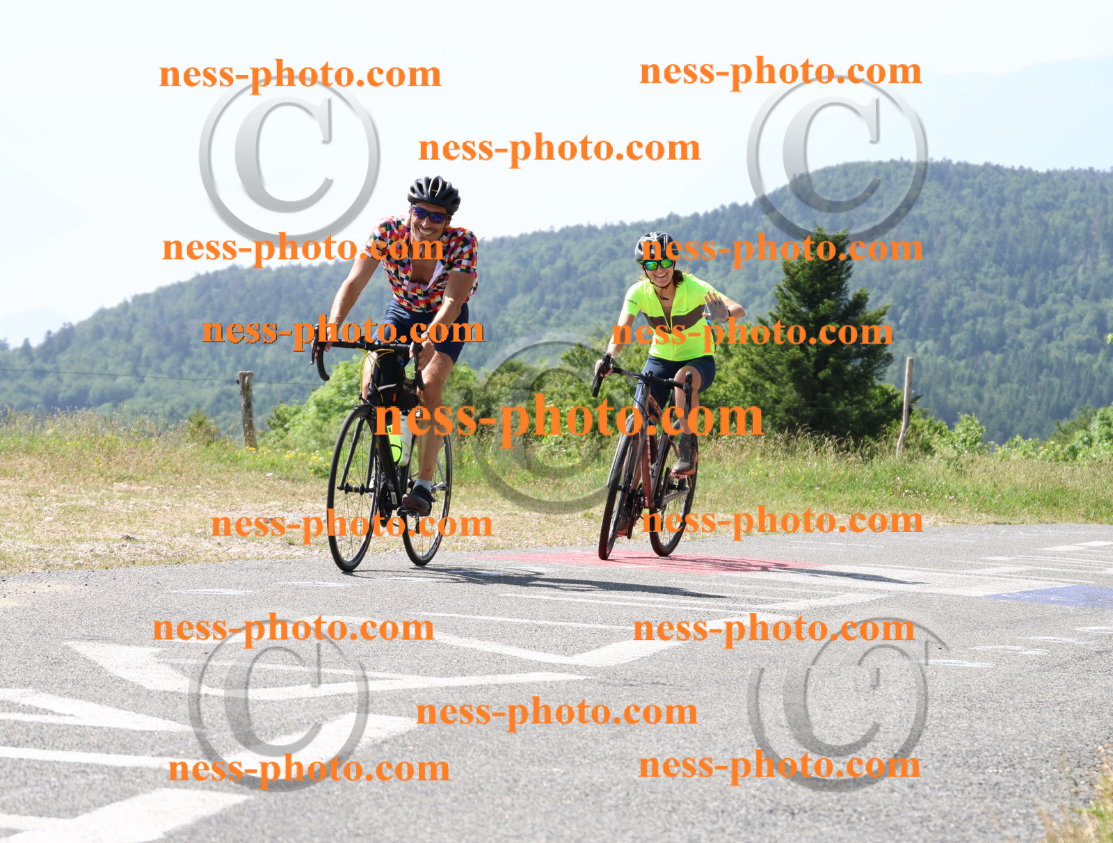 Col du grand Colombier (1026).JPG