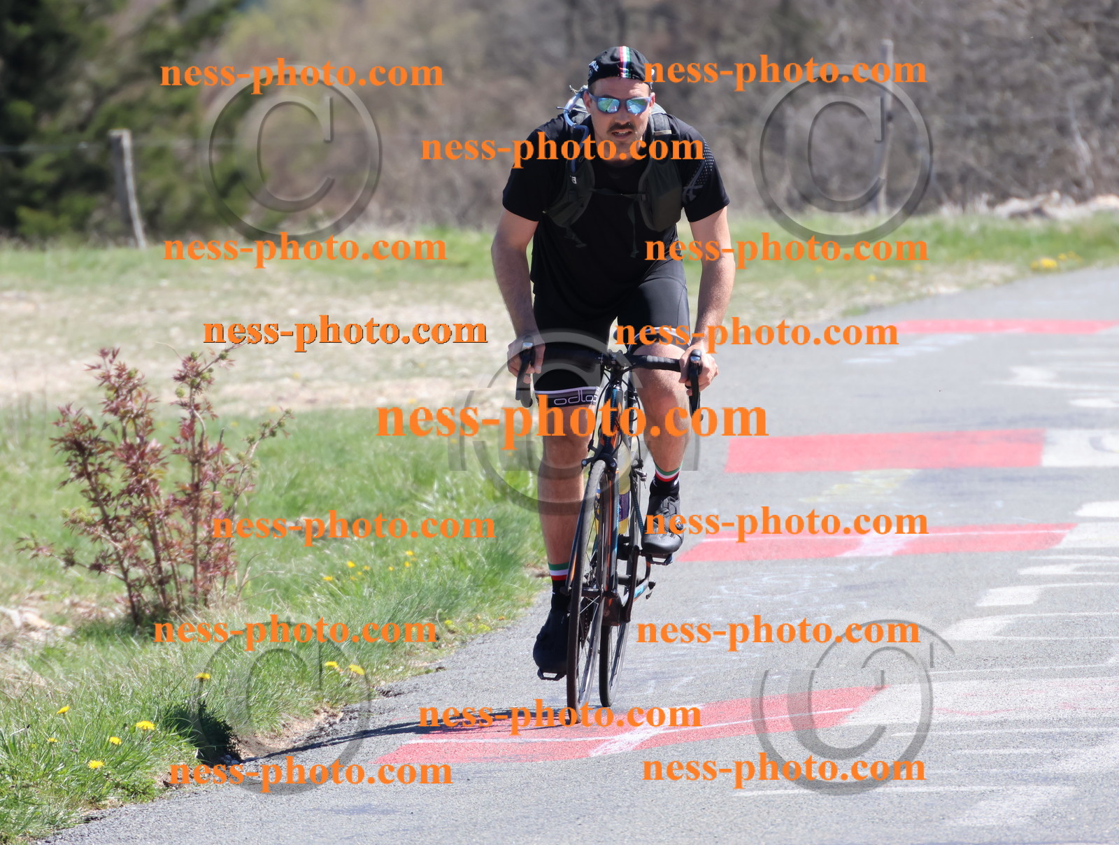 Col du Grand Colombier (966).JPG