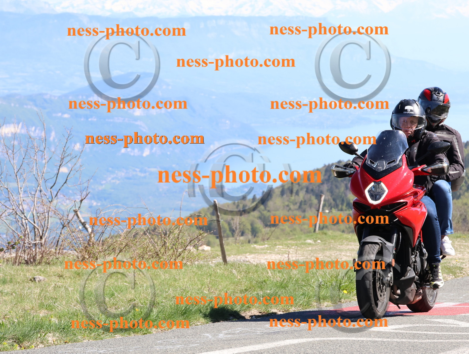 Col du Grand Colombier (371).JPG