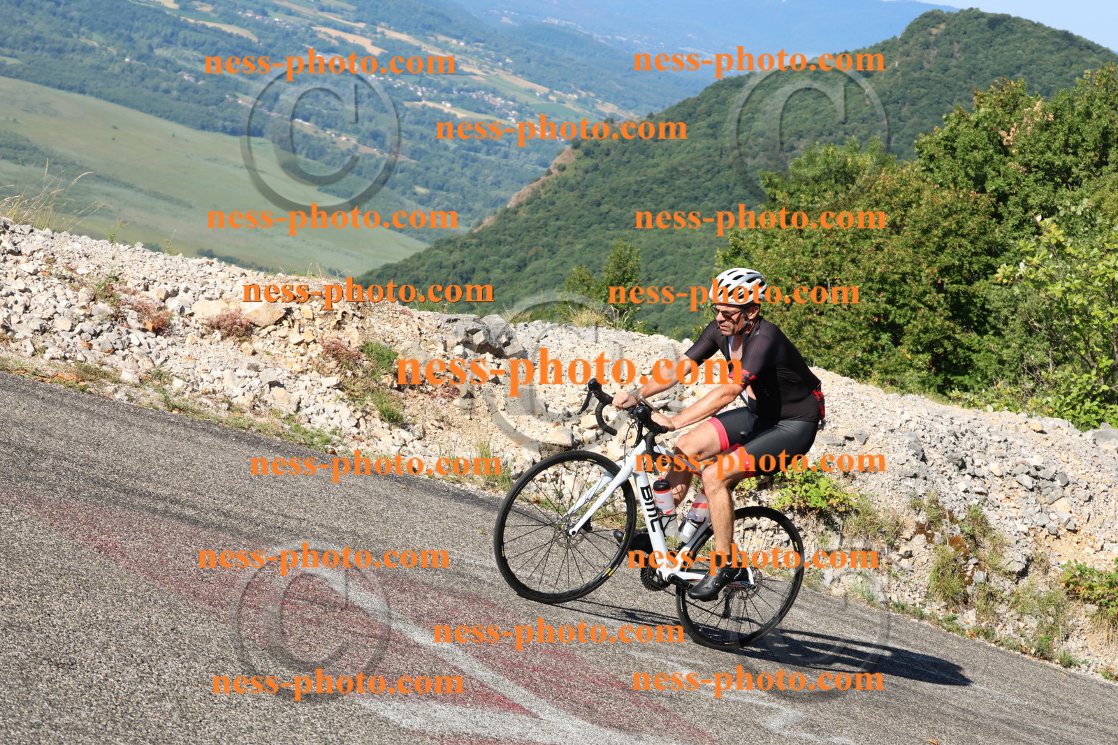 Col du Grand Colombier (722).JPG