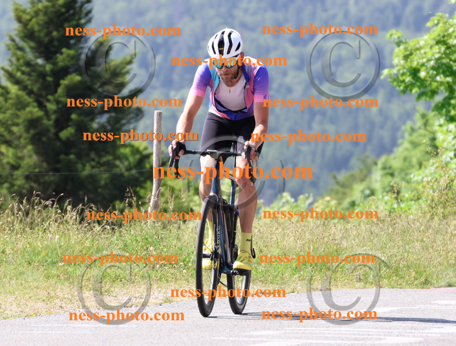 Col du grand Colombier (995).JPG