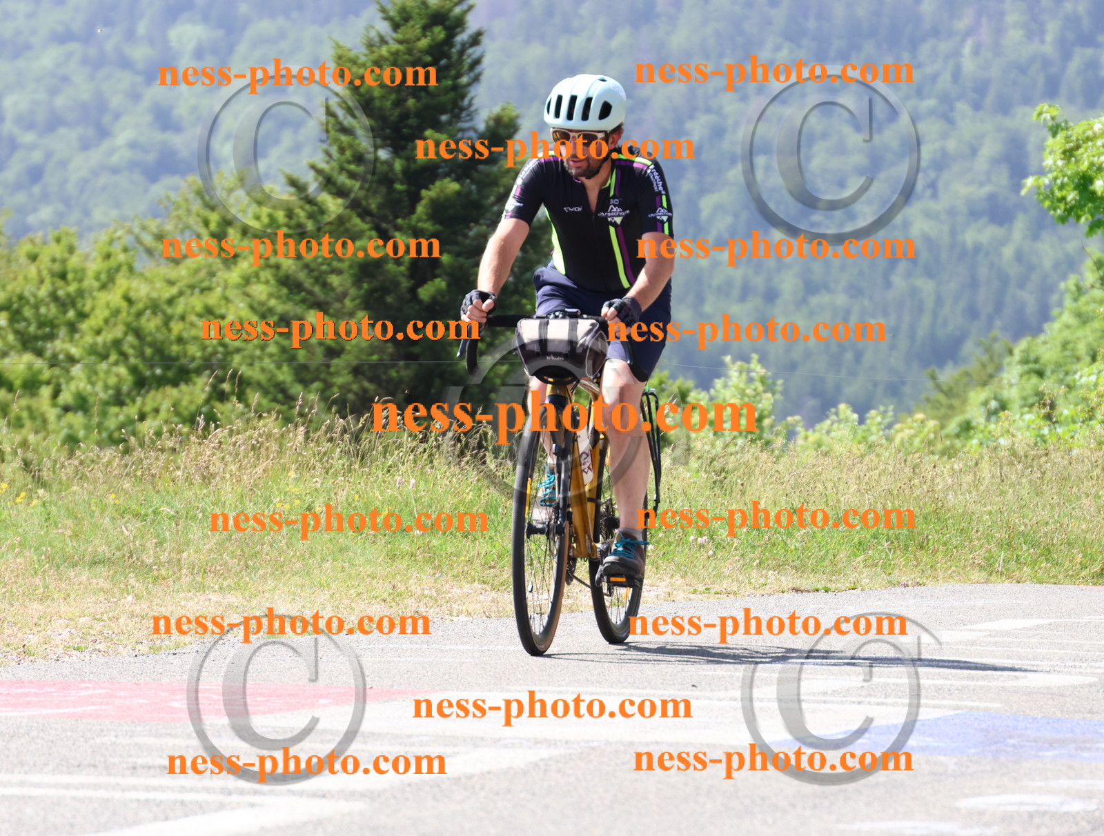 Col du grand Colombier (1108).JPG