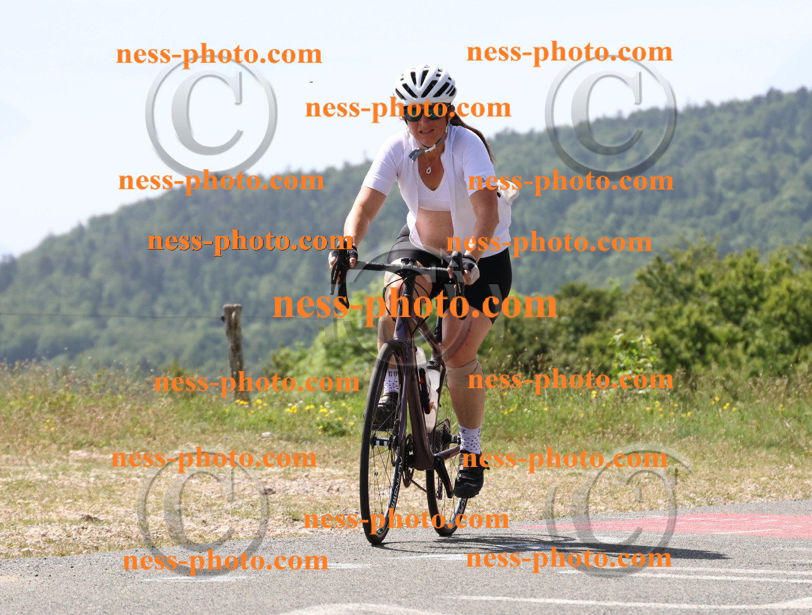 Col du grand Colombier (1369).JPG