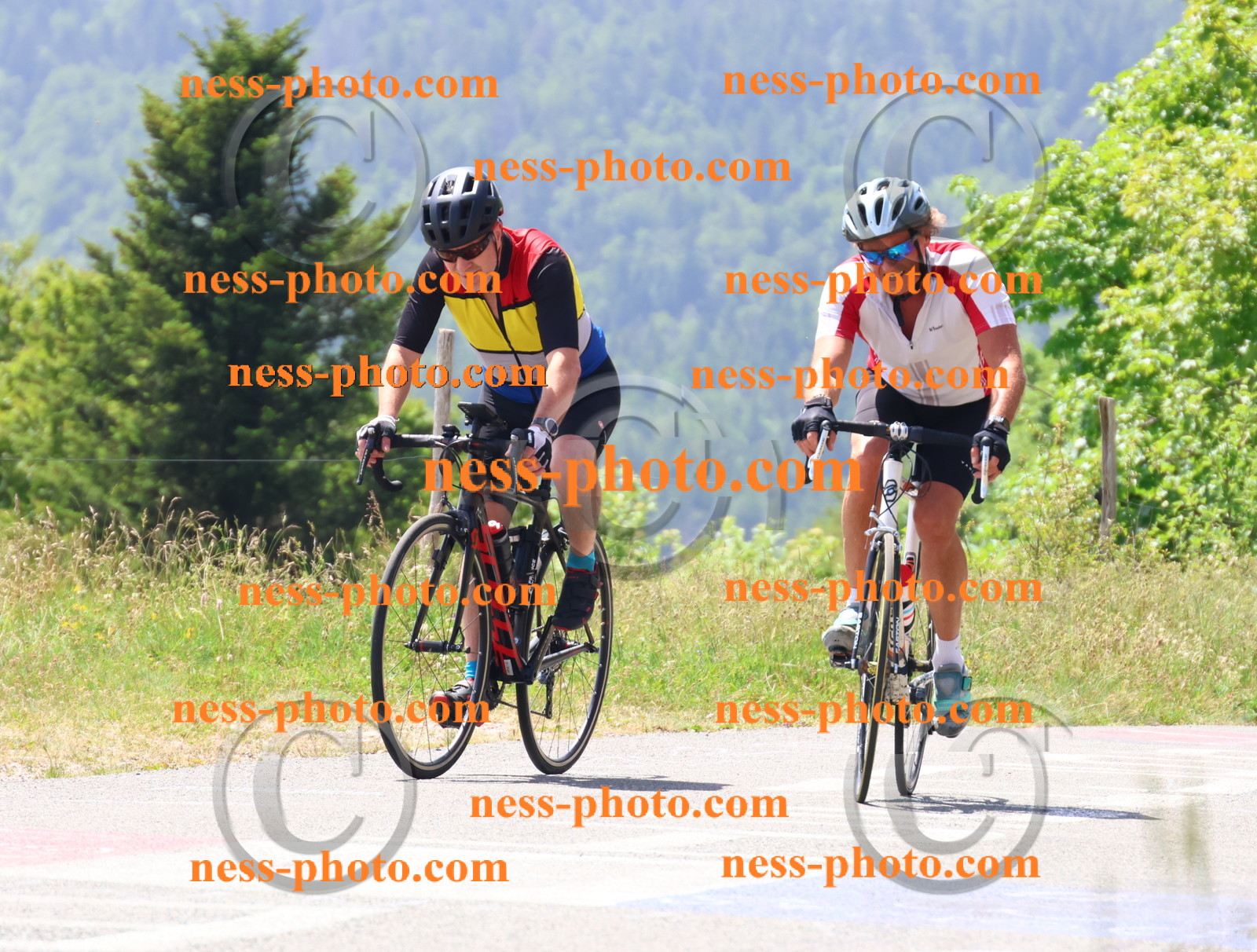 Col du grand Colombier (2473).JPG