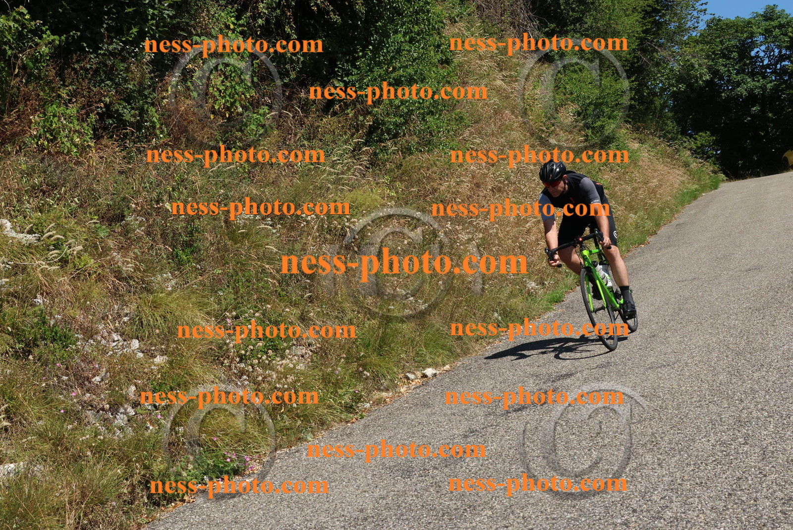 Col du Grand Colombier (516).JPG