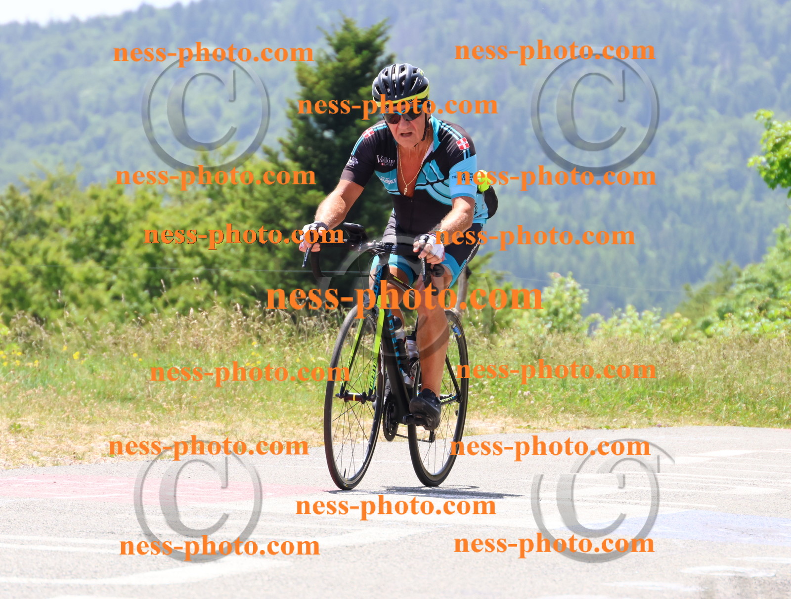 Col du grand Colombier (2802).JPG