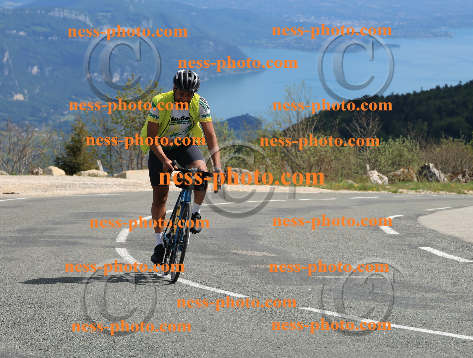 Col du grand Colombier (753).JPG