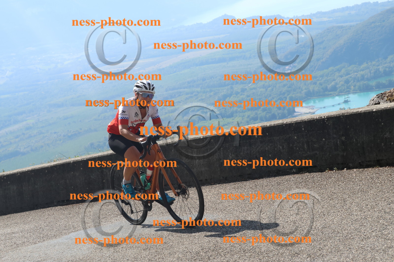 Col du Grand Colombier (2882).JPG