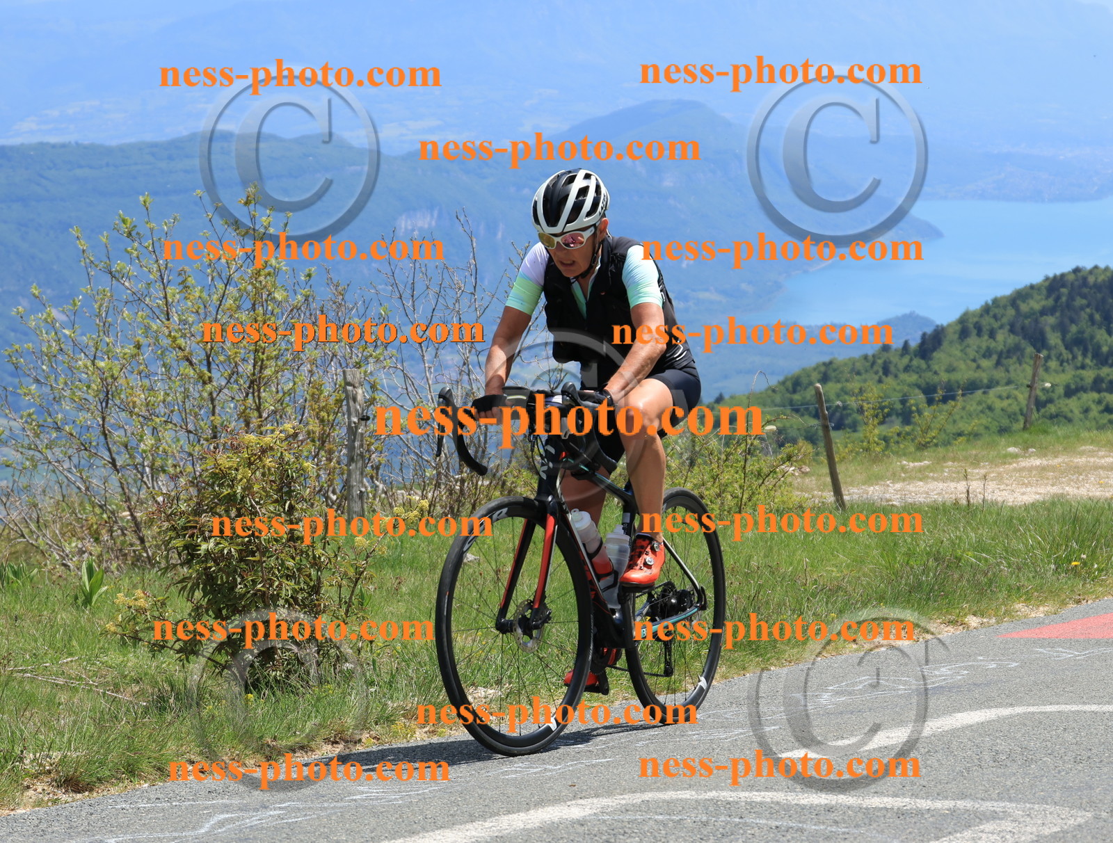 Col du Grand Colombier (514).JPG