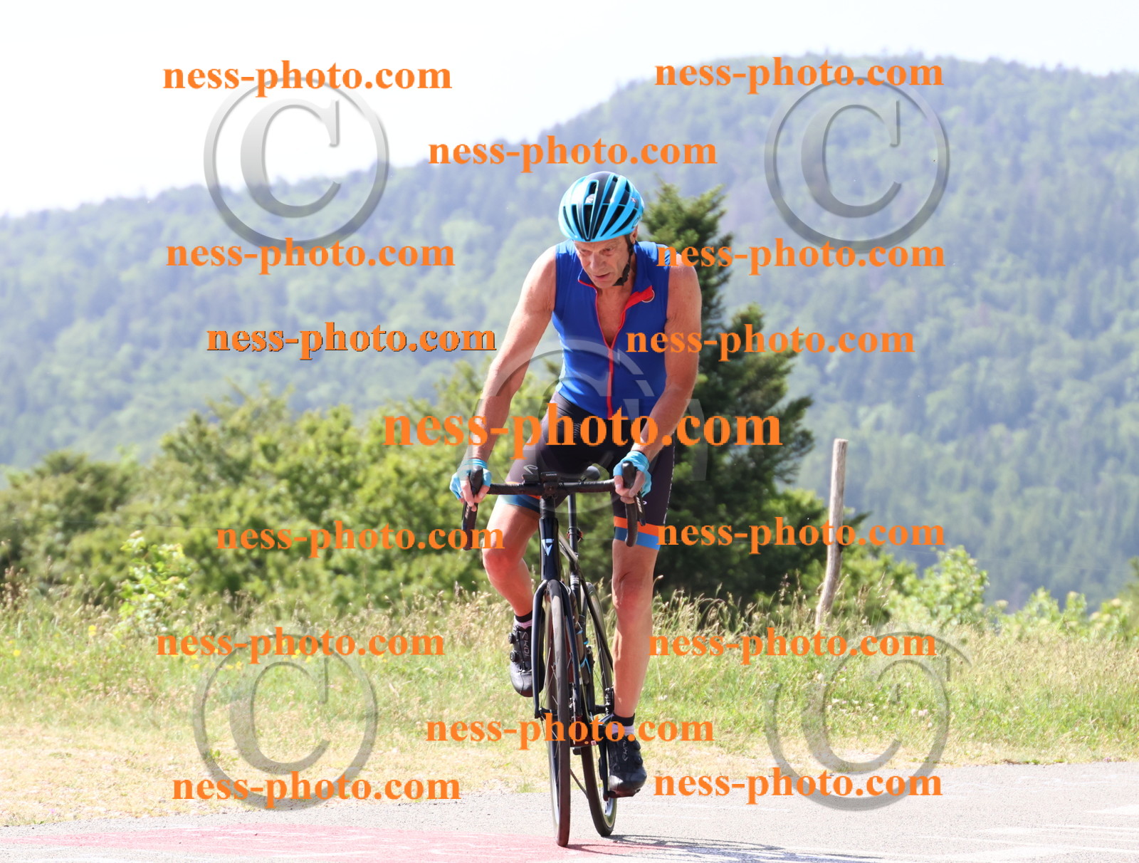 Col du grand Colombier (920).JPG