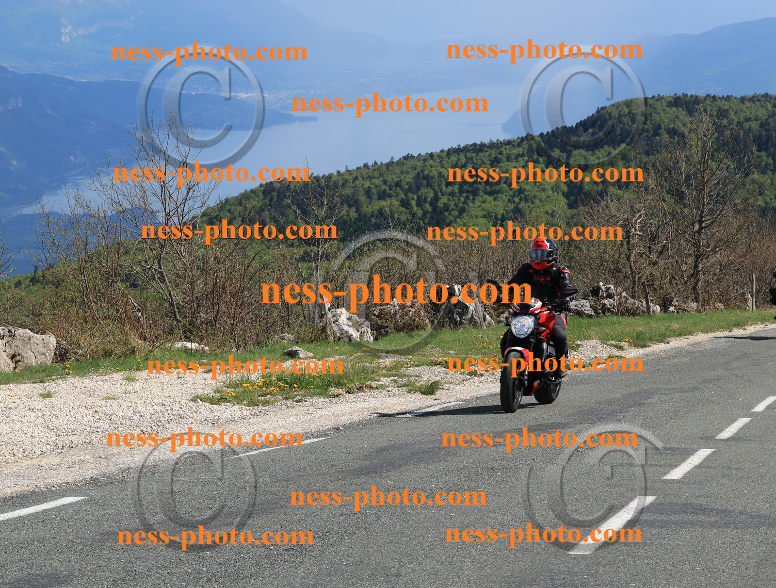 Col du Grand Colombier (230).JPG