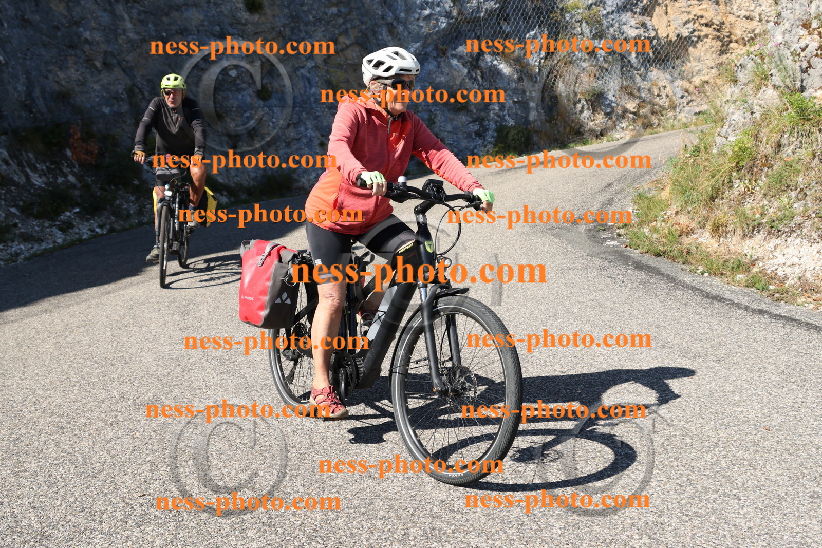 Col du Grand Colombier (507).JPG