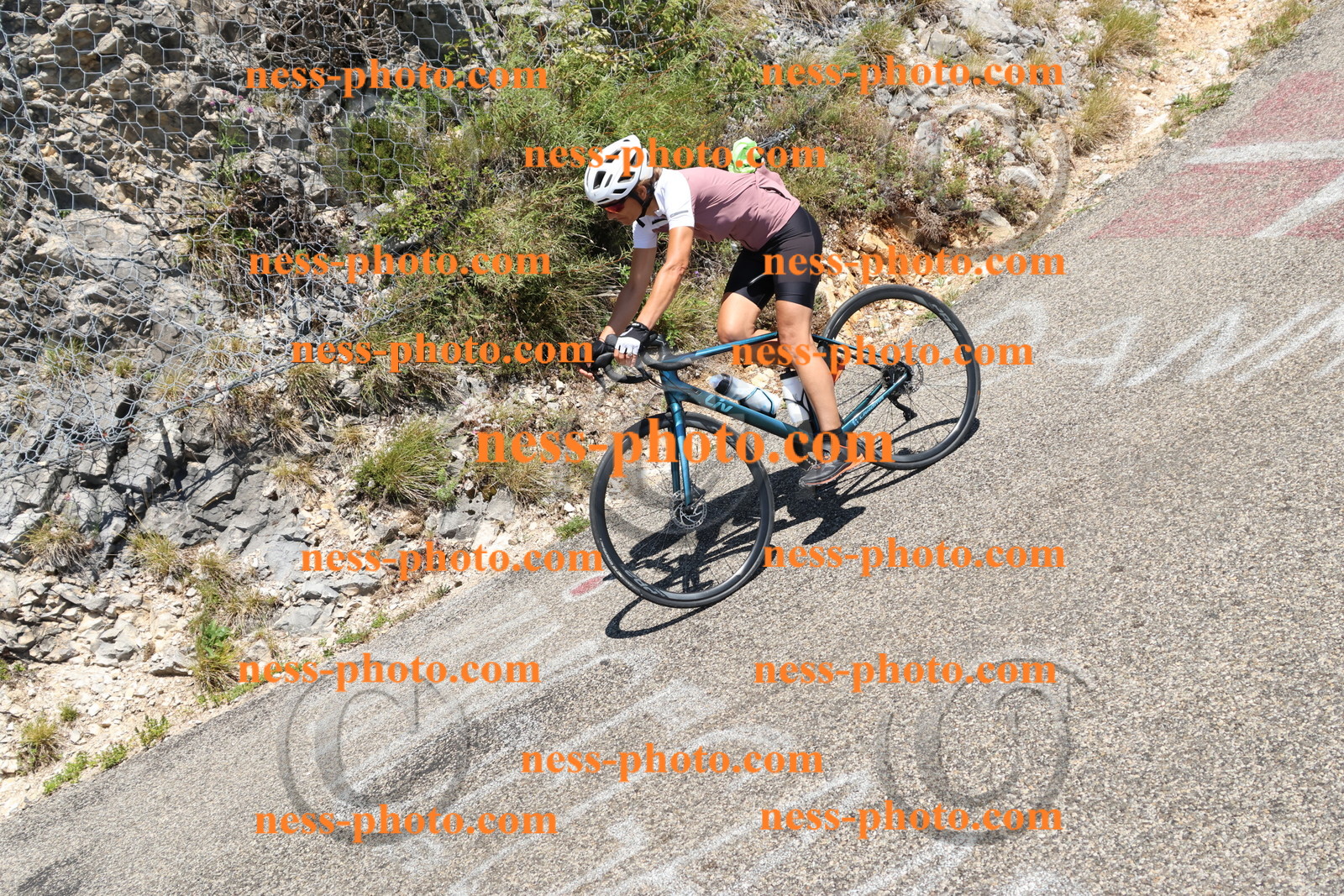 Col du Grand Colombier (604).JPG