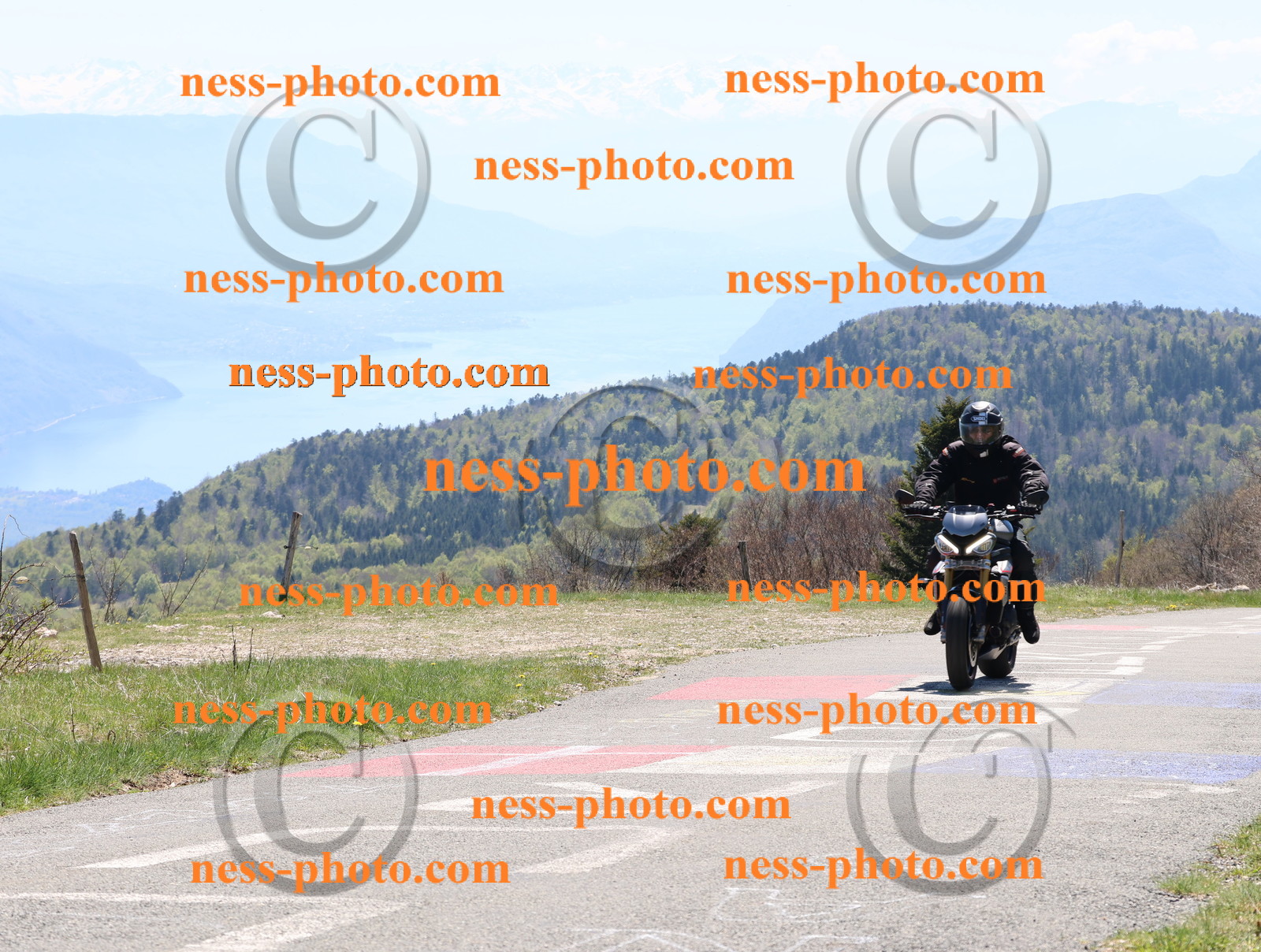 Col du Grand Colombier (87).JPG