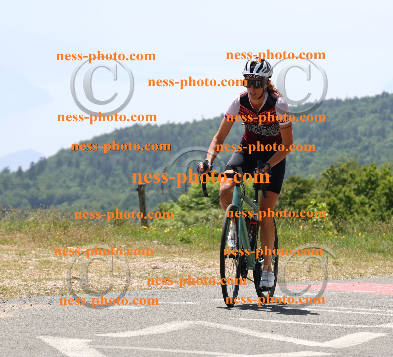 Col du grand Colombier (2660).JPG