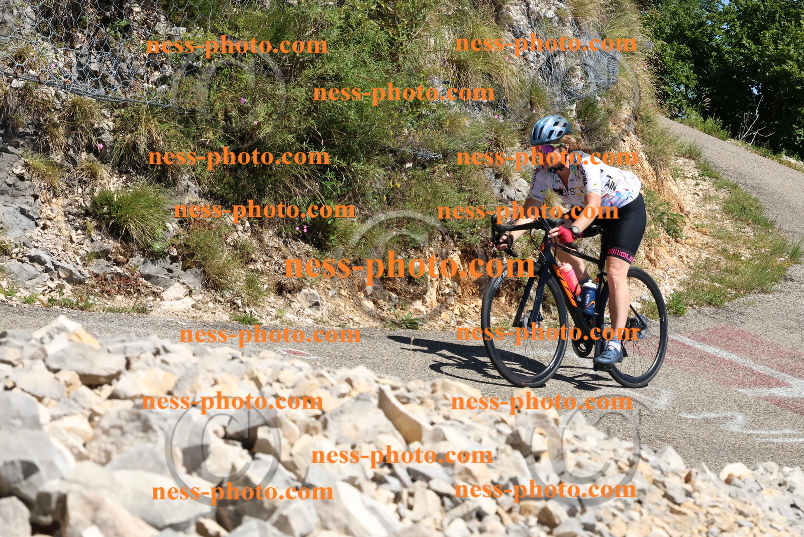 Col du Grand Colombier (665).JPG