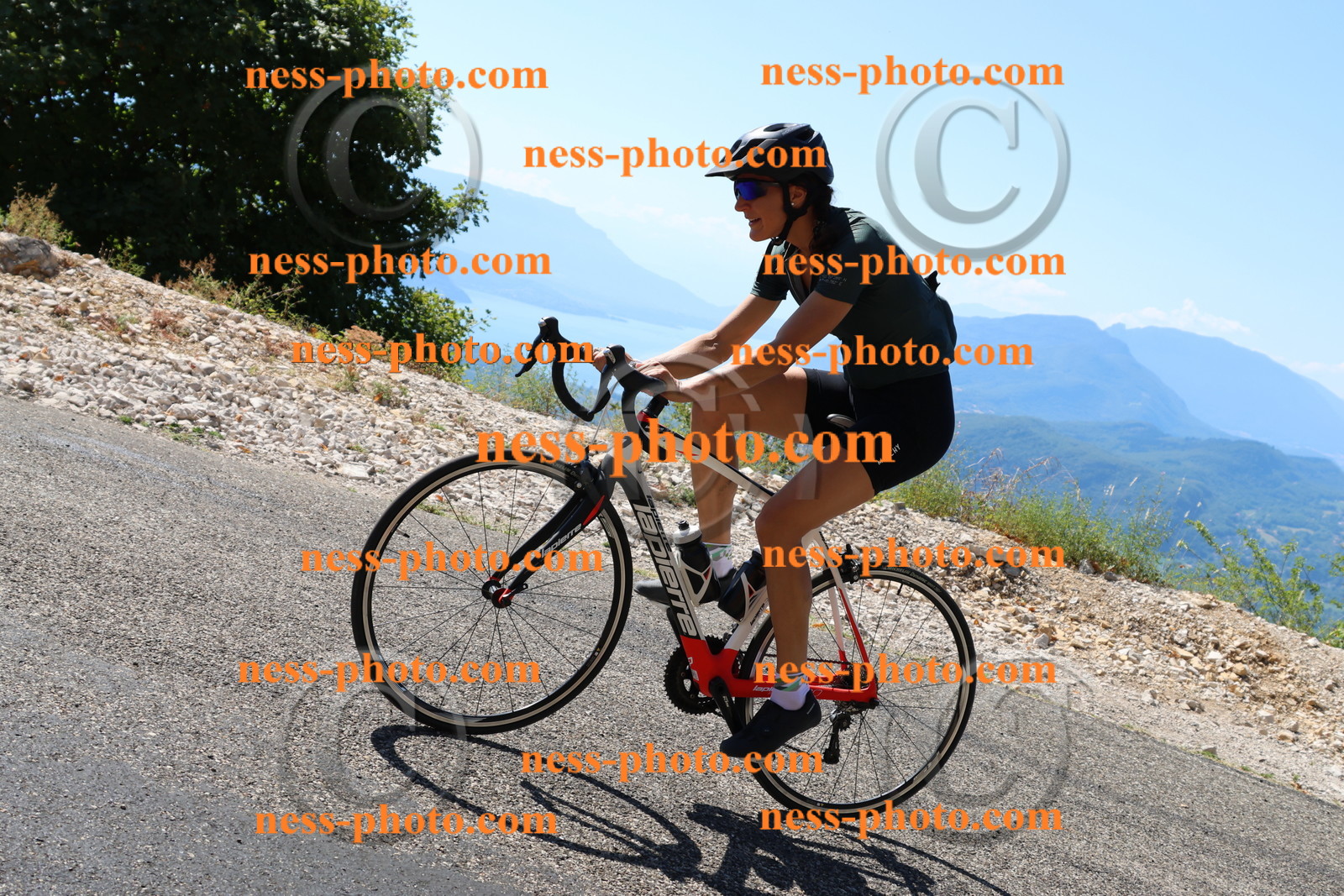 Col du Grand Colombier (2204).JPG