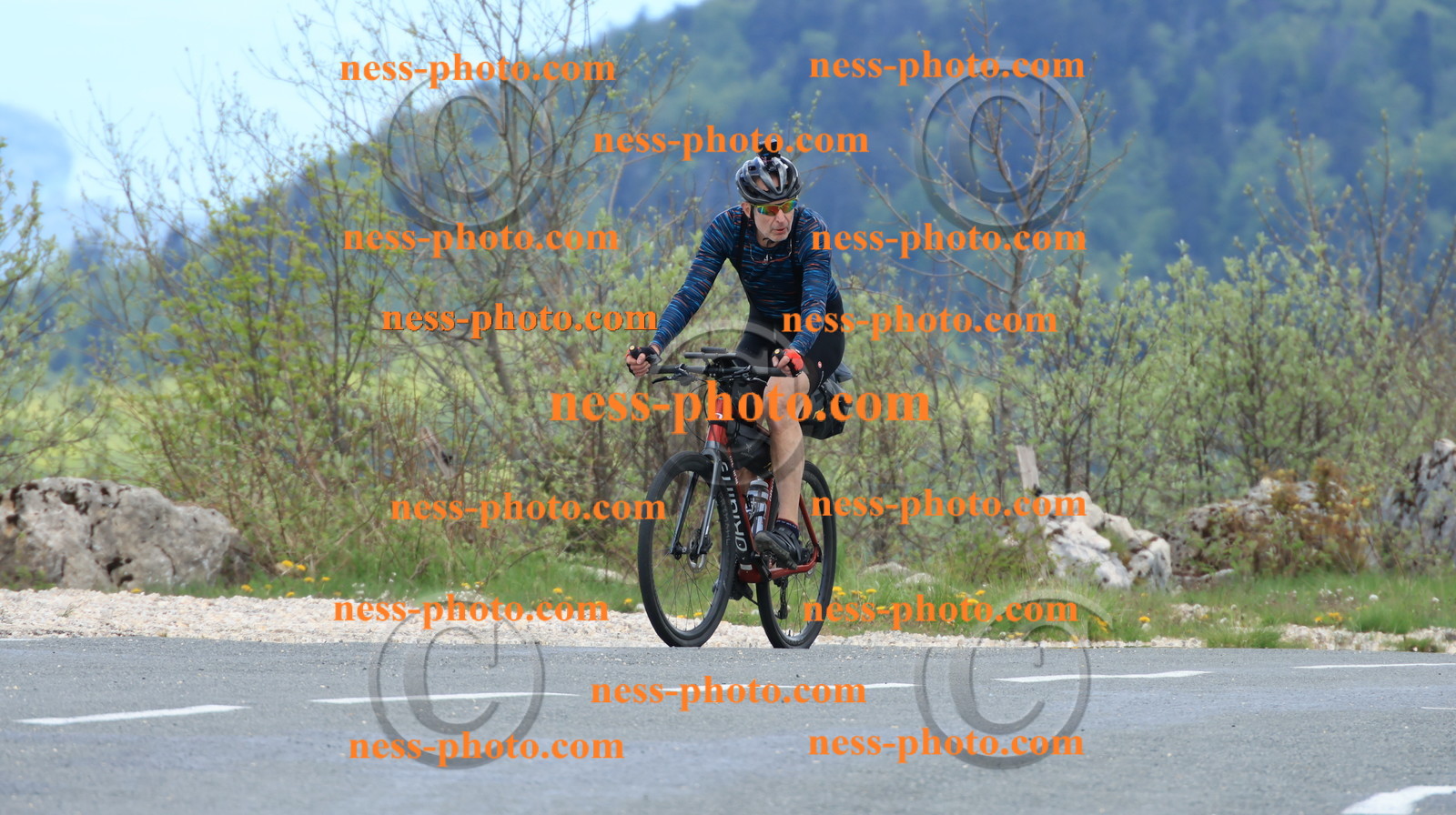 Col du grand Colombier (483).JPG