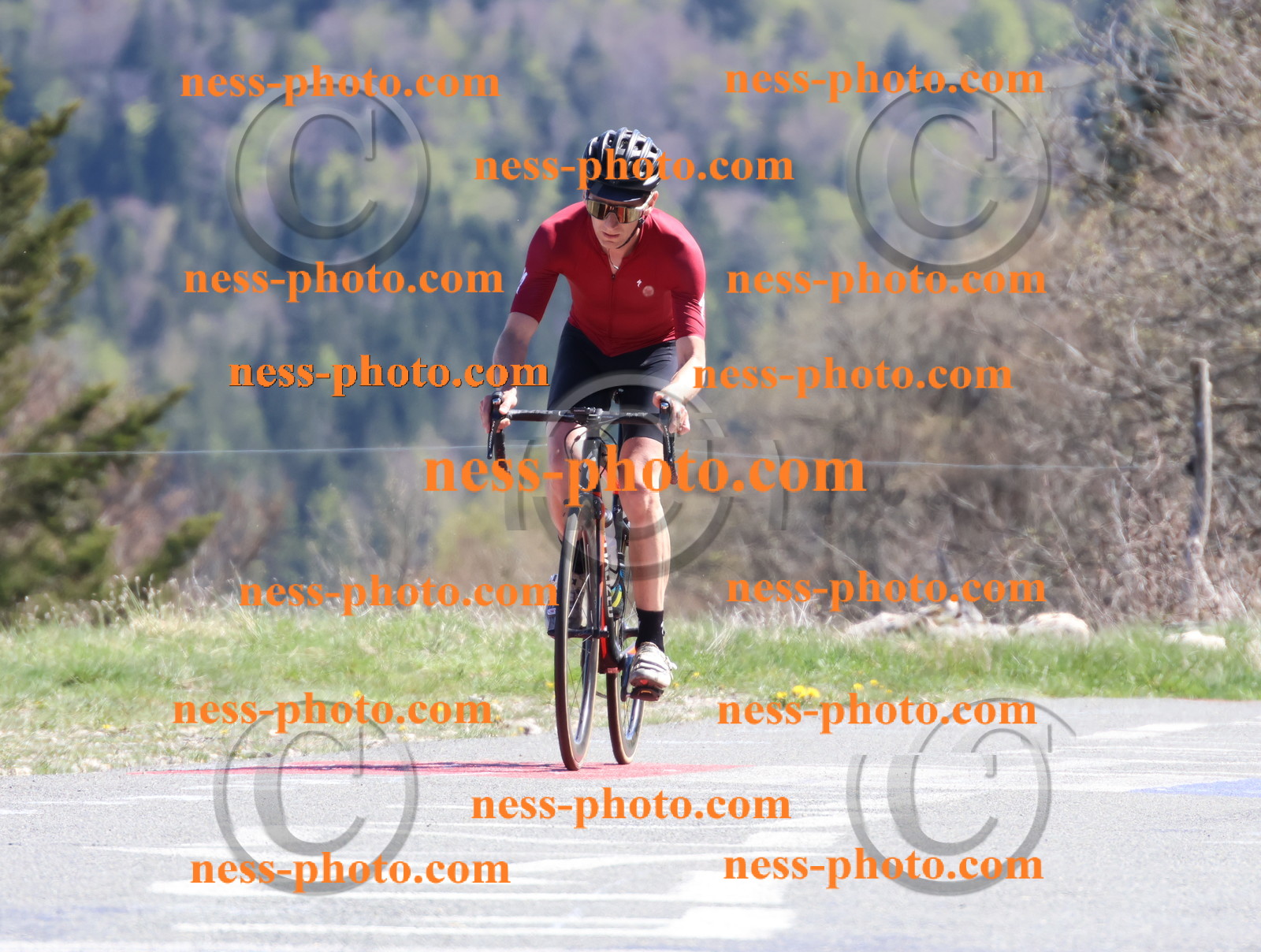 Col du Grand Colombier (1014).JPG