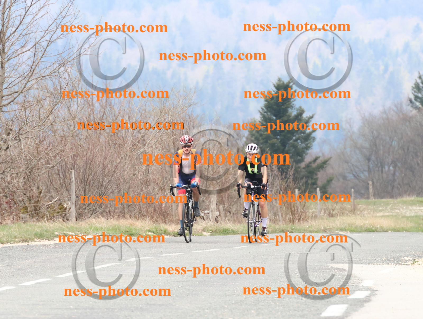 Col du Grand Colombier (110).JPG