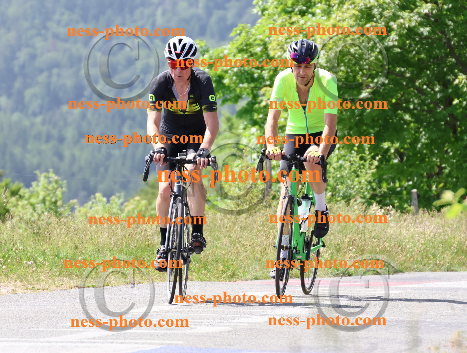 Col du grand Colombier (1384).JPG