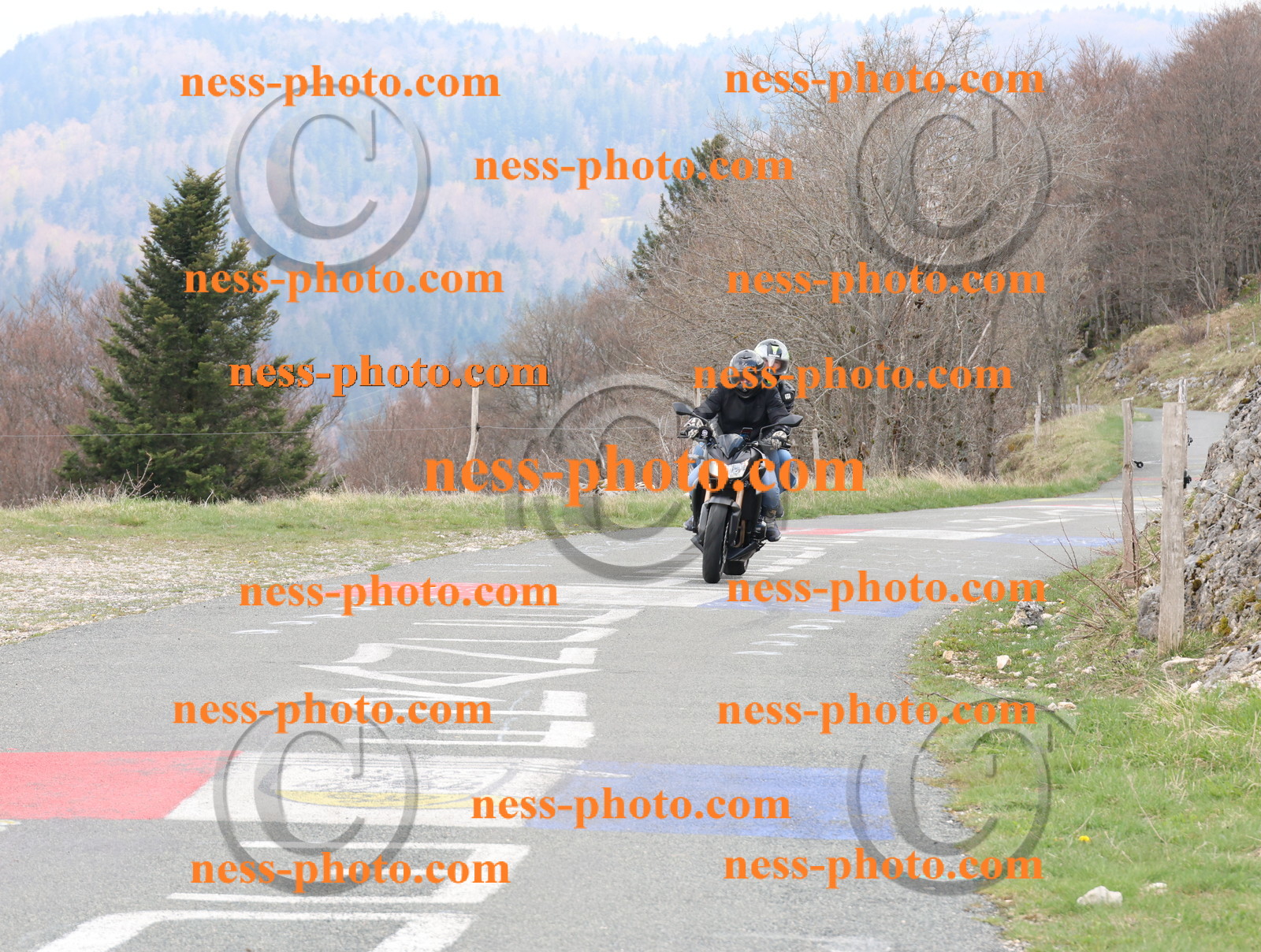 Col du Grand Colombier (87).JPG