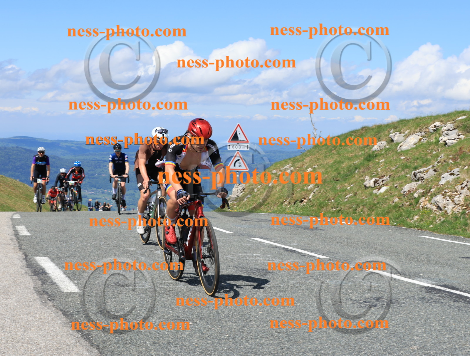 Col du Grand Colombier (1313).JPG