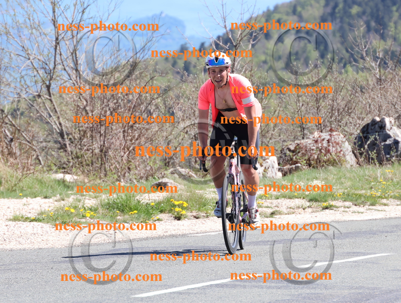 Col du Grand Colombier (954).JPG