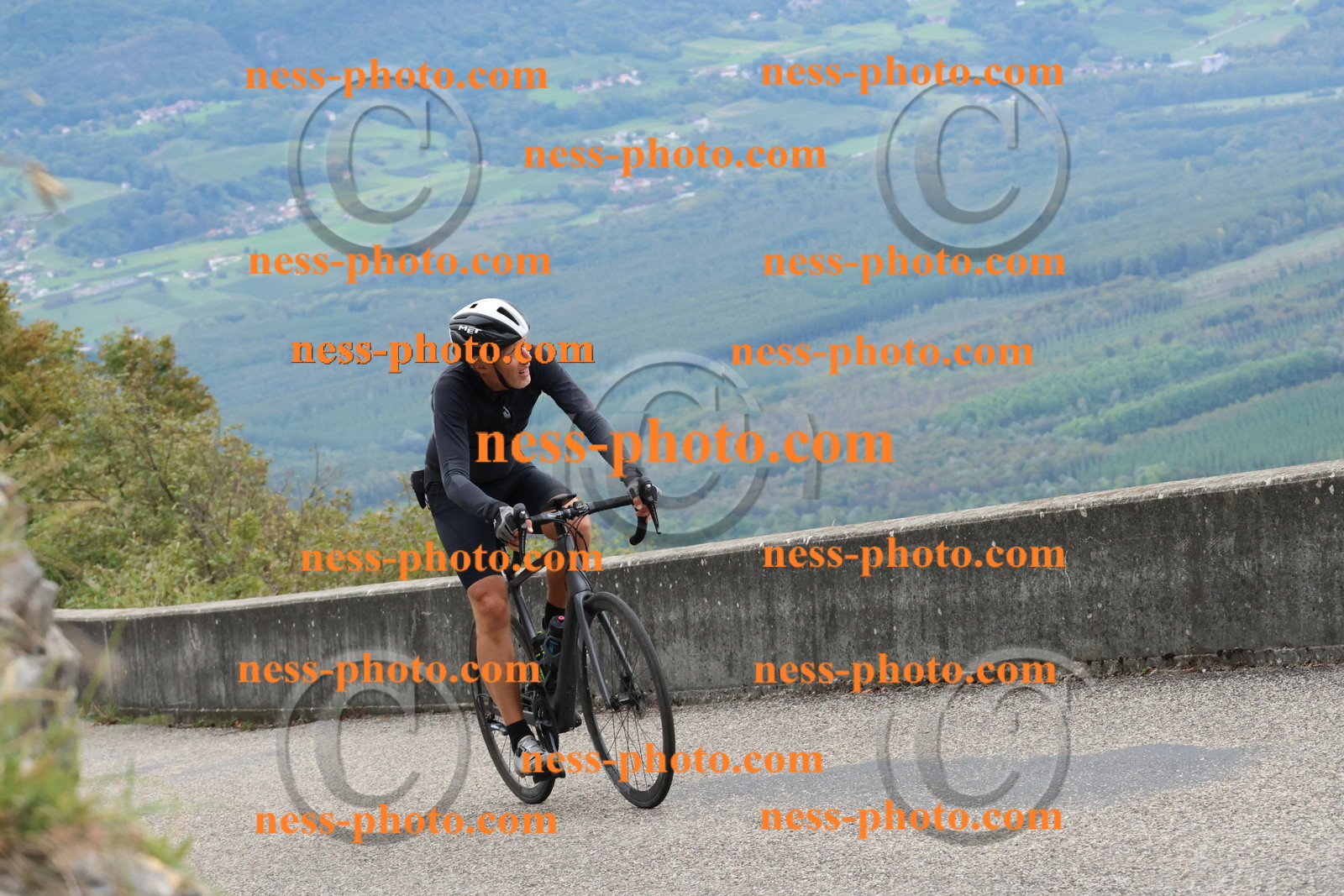 Col du Grand Colombier (1205).JPG