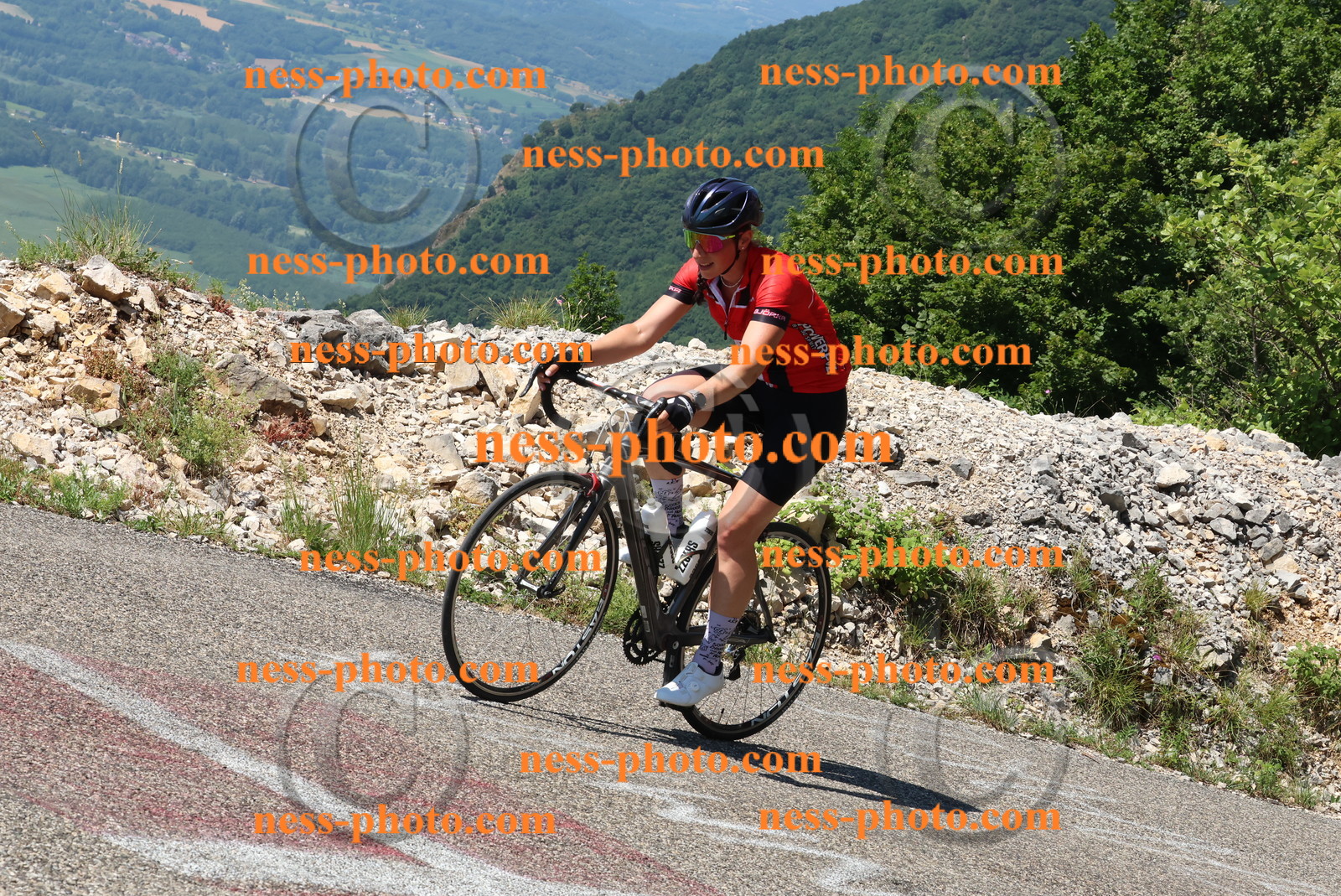 Col du Grand Colombier (439).JPG