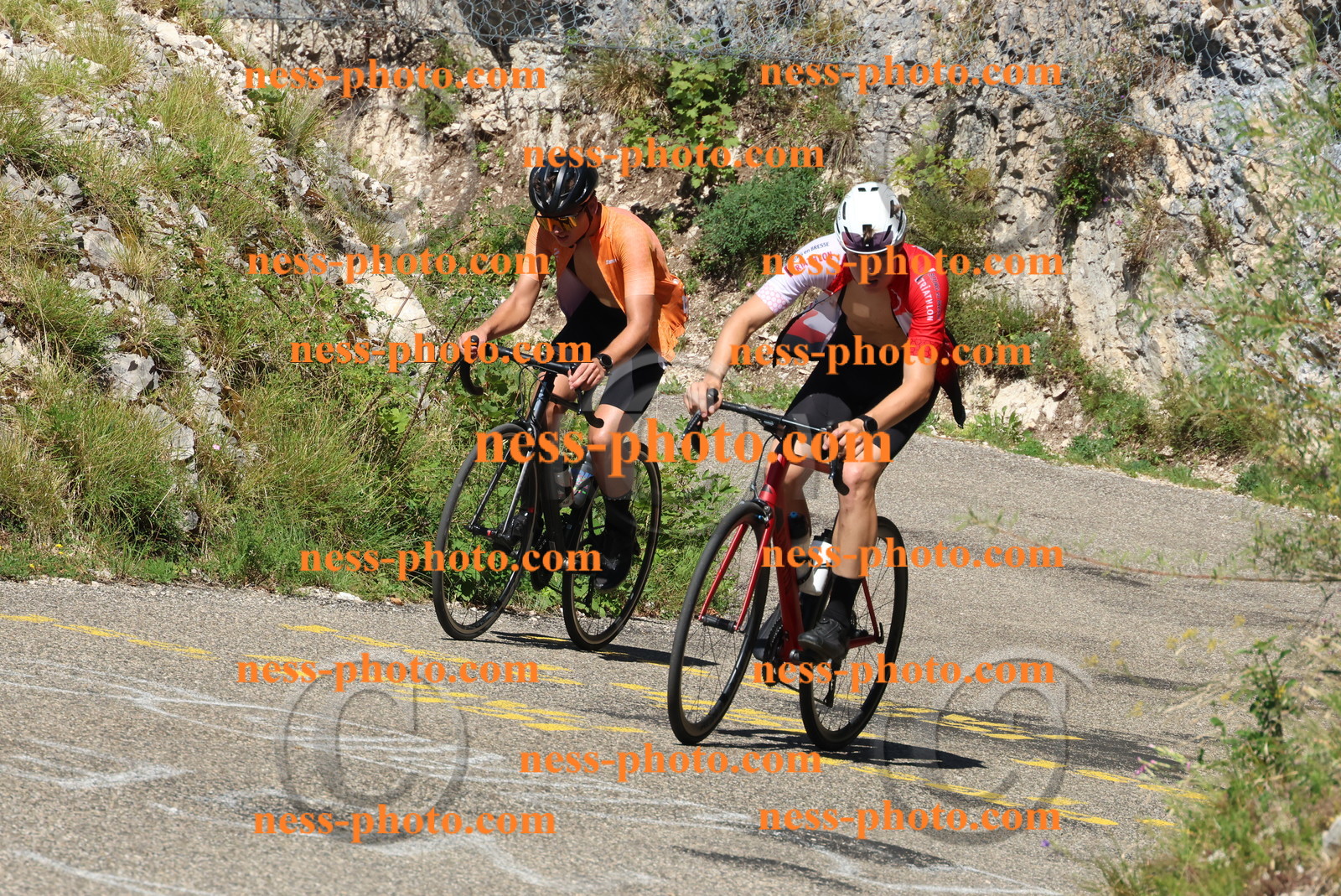 Col du Grand Colombier (422).JPG