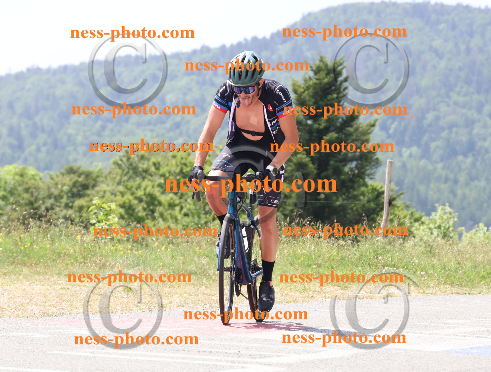 Col du grand Colombier (2056).JPG