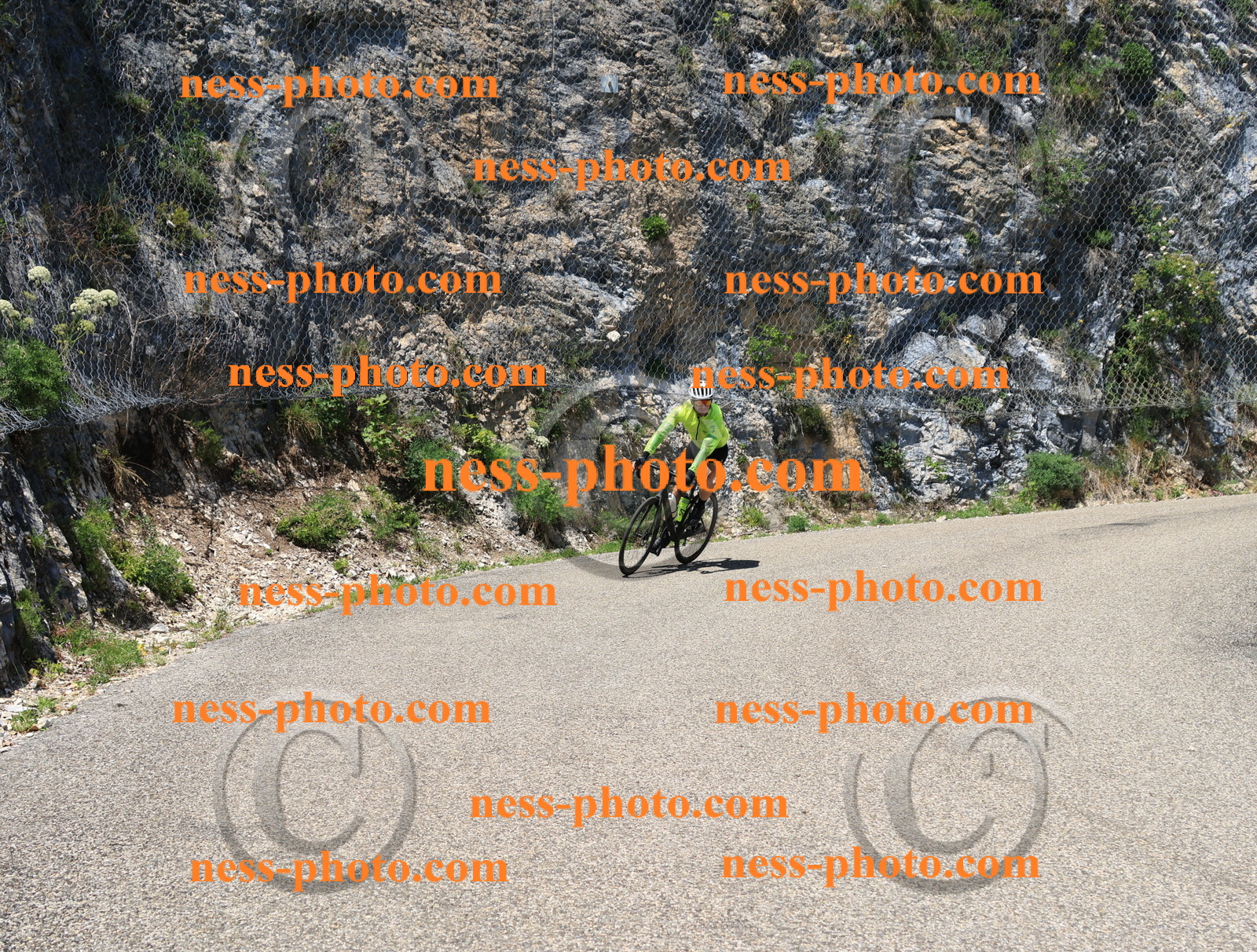 Col du Grand Colombier (668).JPG