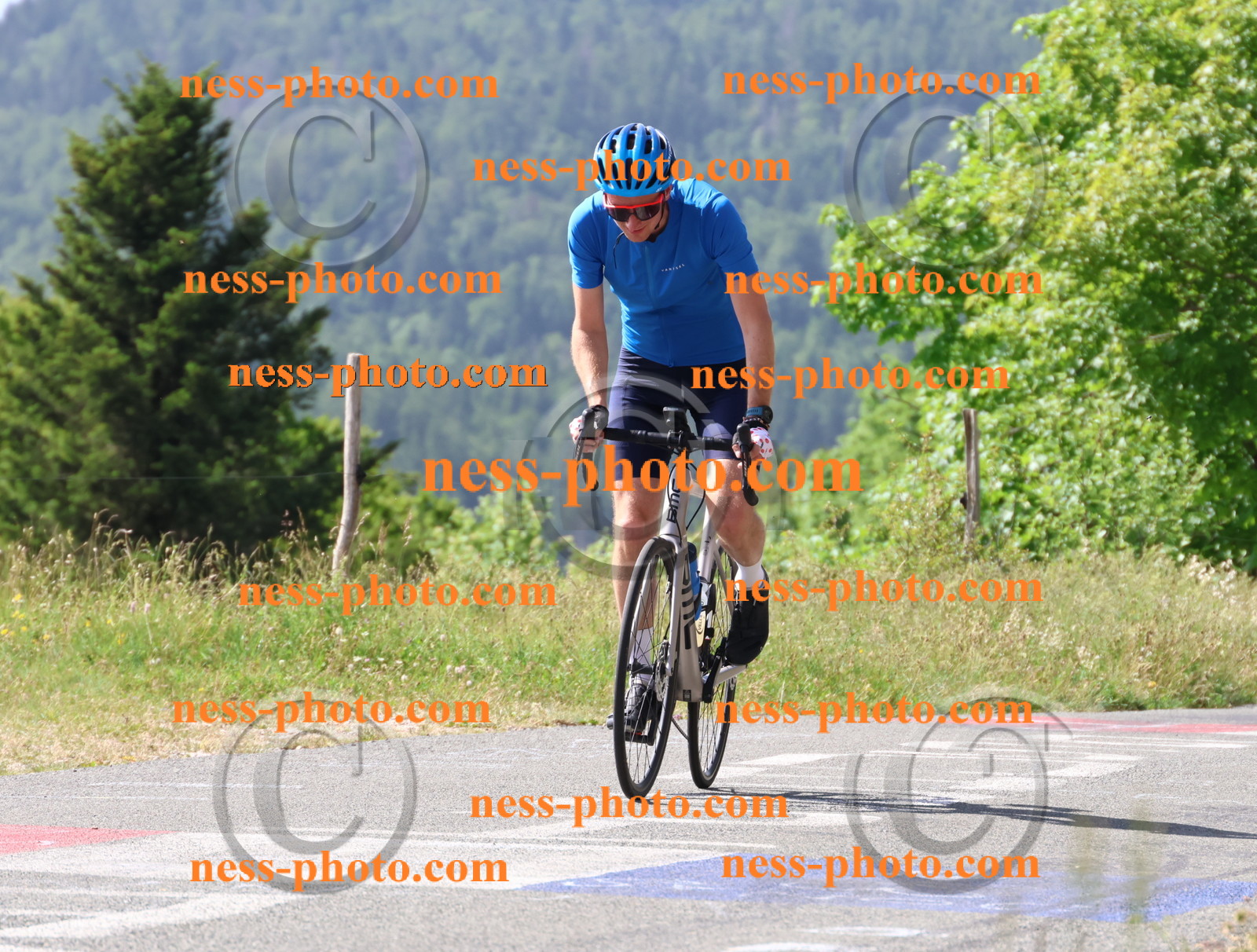 Col du grand Colombier (724).JPG