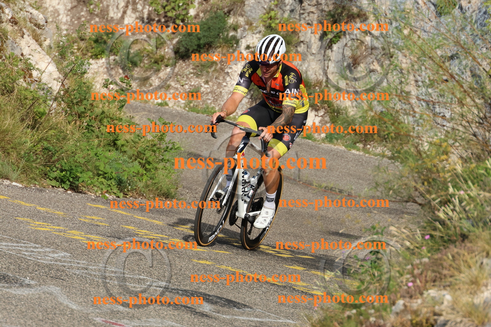 Col du Grand Colombier  (98).JPG