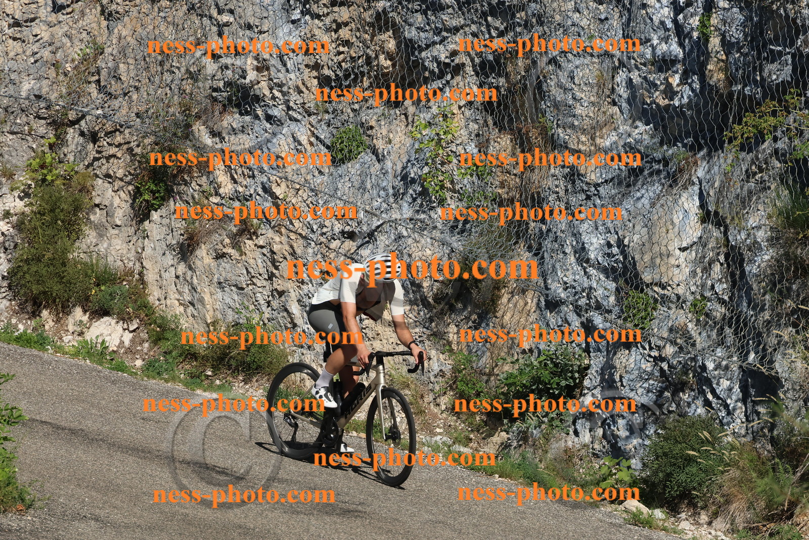 Col du Grand Colombier (302).JPG