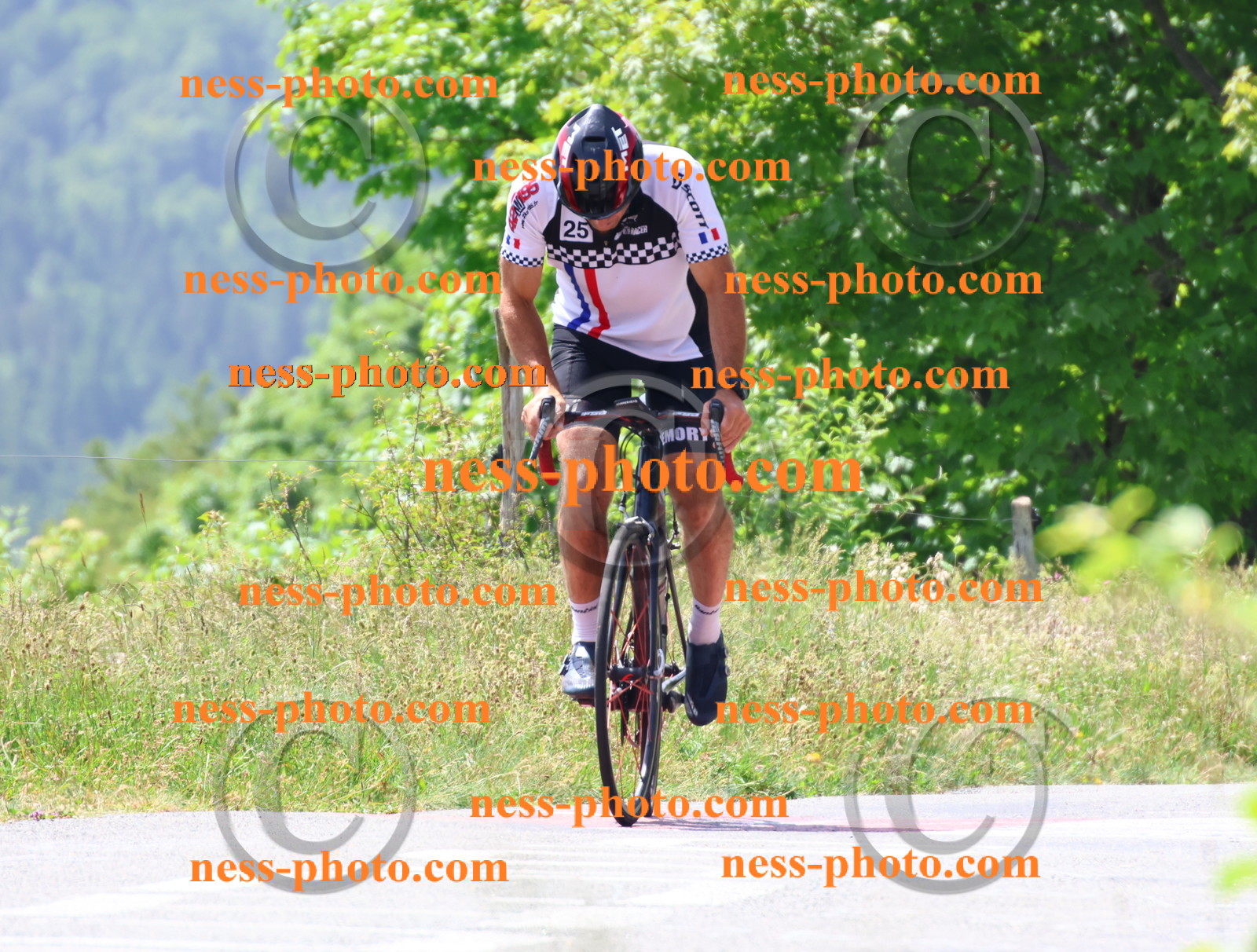 Col du grand Colombier (2303).JPG