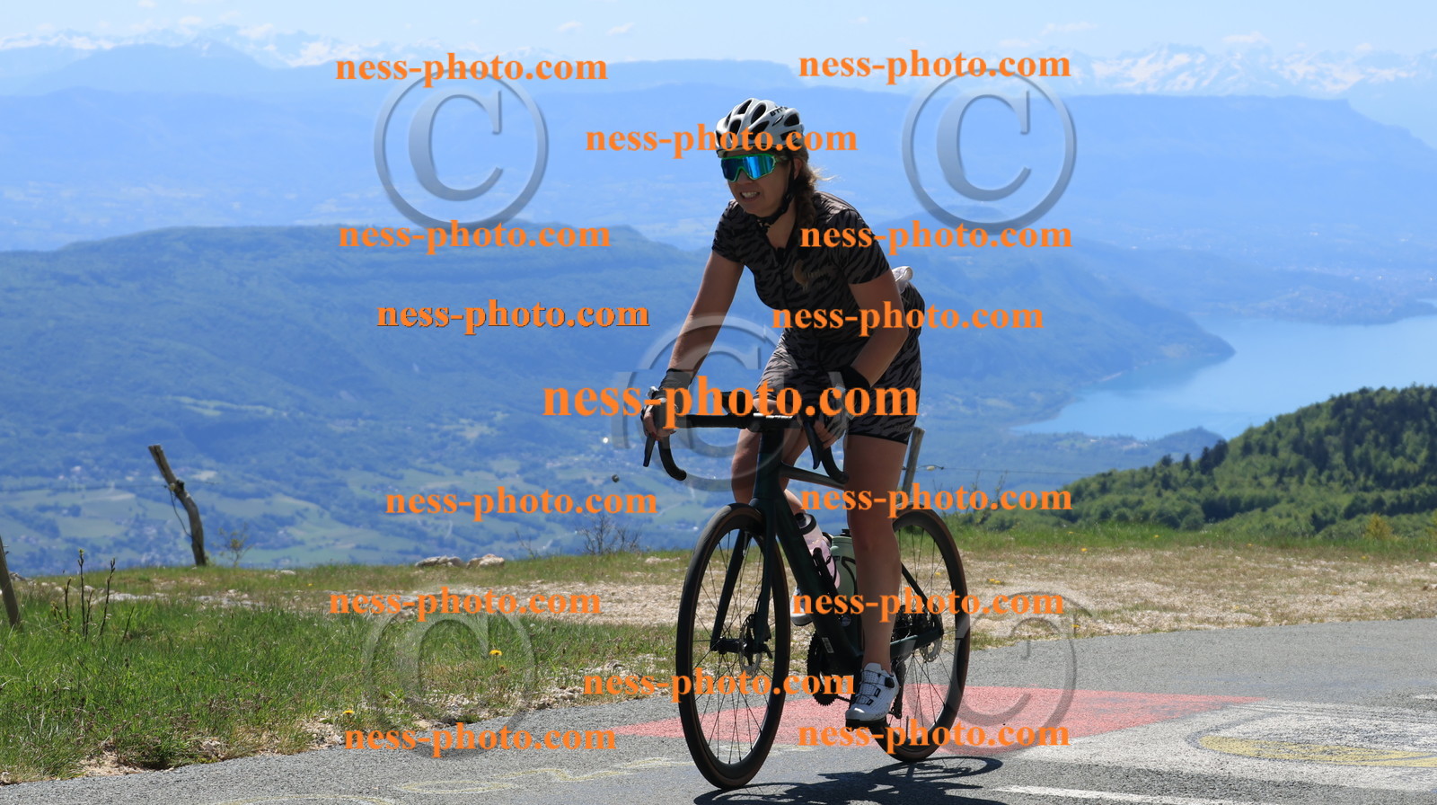 Col du grand Colombier (76).JPG