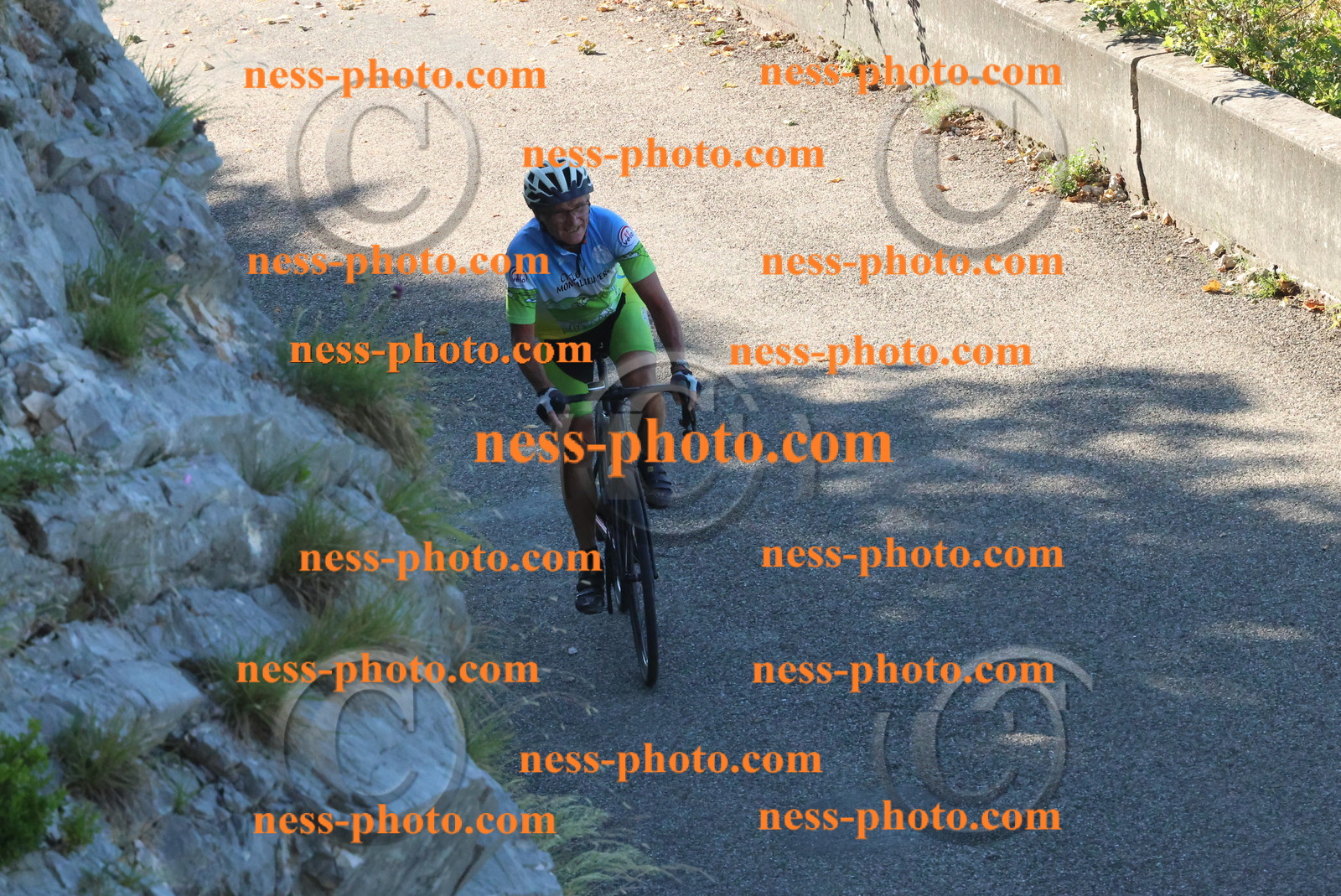 Col du Grand Colombier (9).JPG