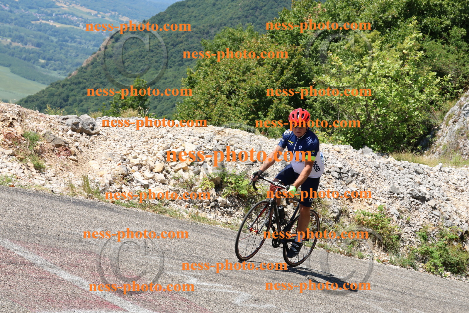 Col du Grand Colombier (2541).JPG