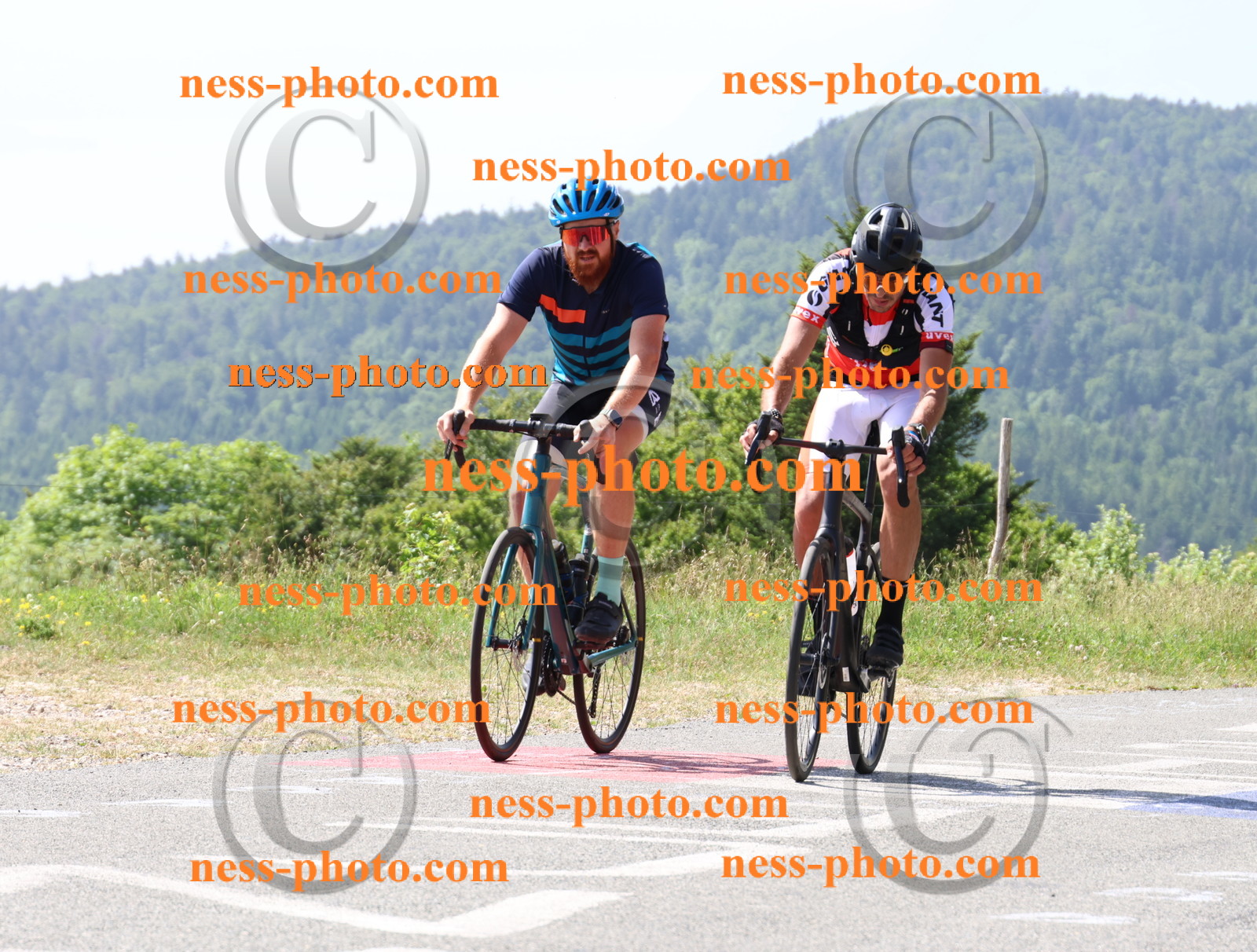 Col du grand Colombier (1207).JPG