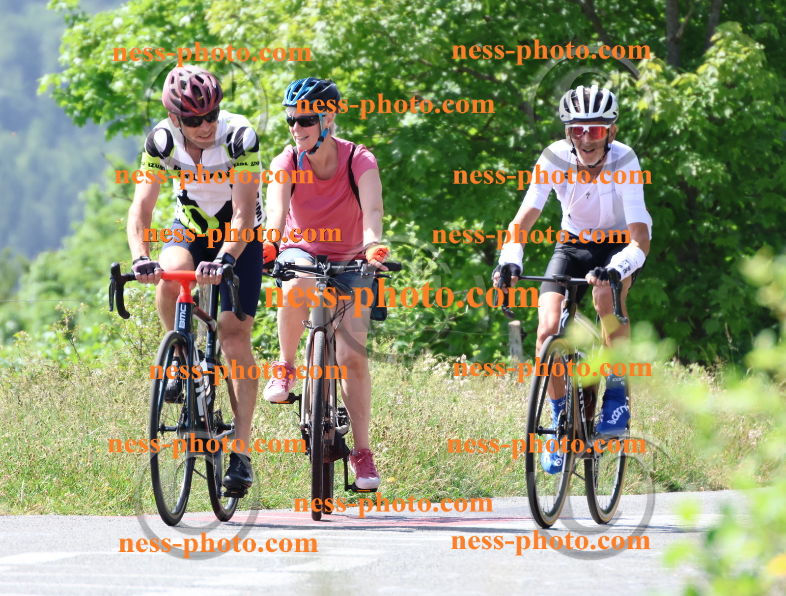 Col du grand Colombier (1299).JPG