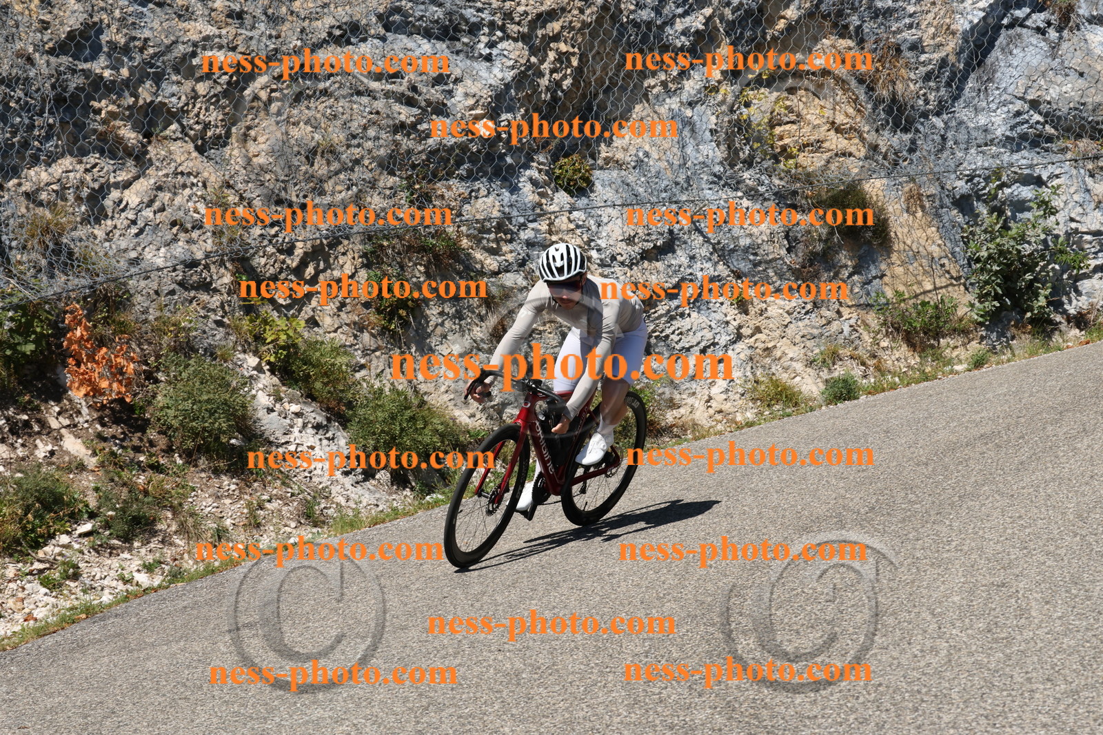 Col du Grand Colombier (456).JPG