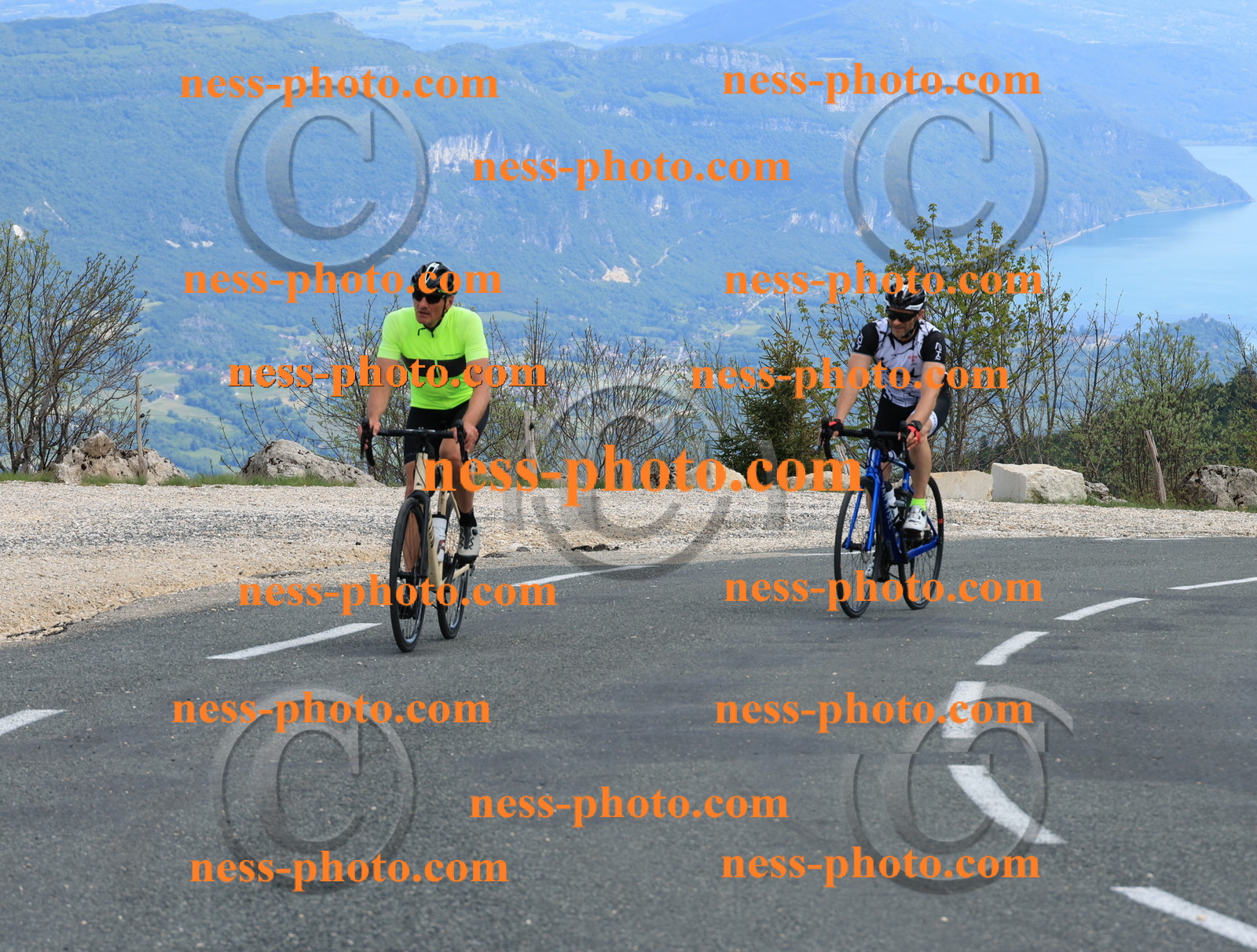 Col du grand Colombier (669).JPG