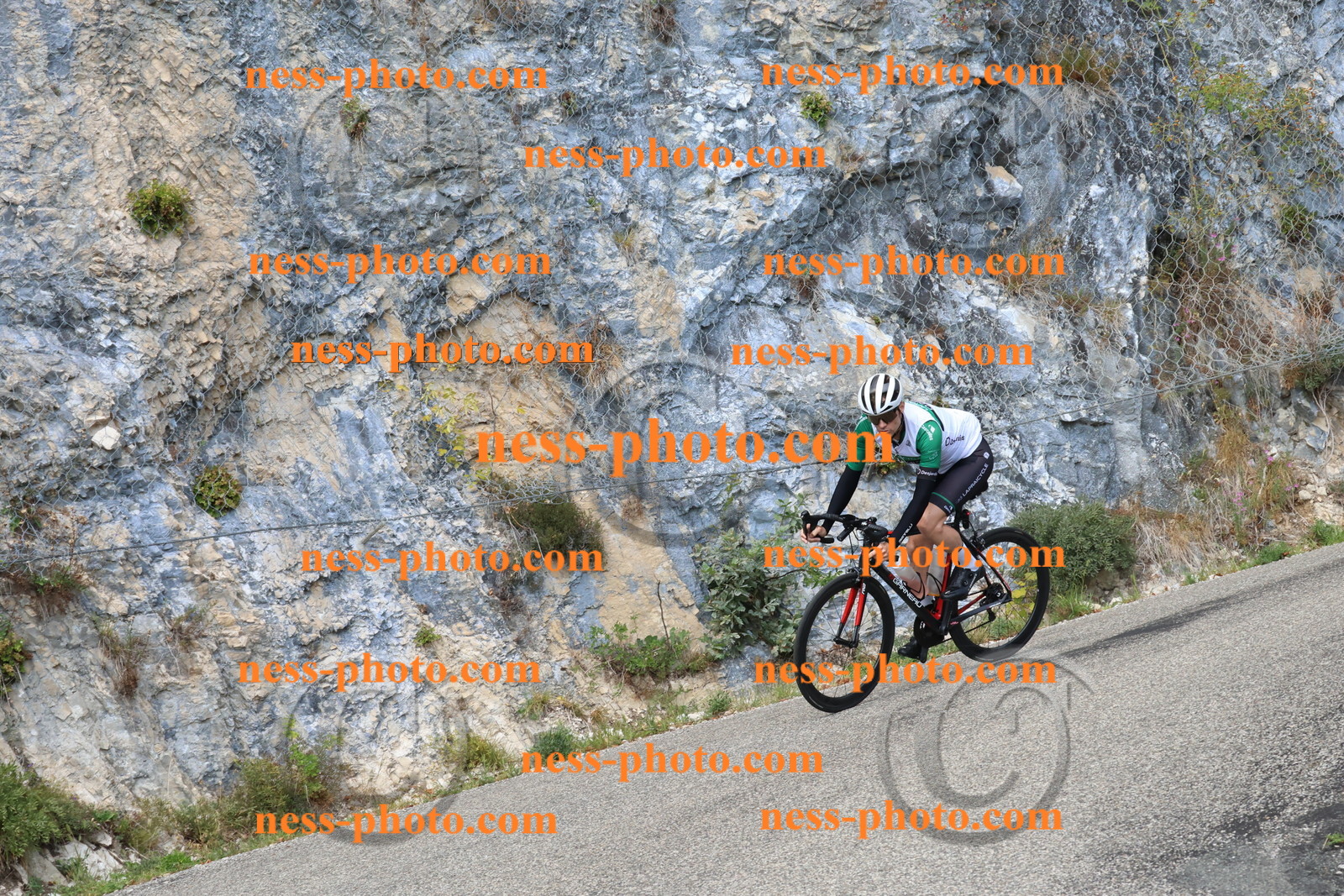 Col du Grand Colombier (722).JPG