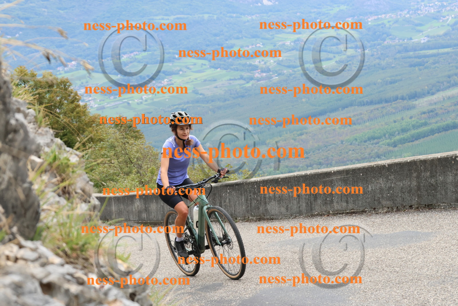 Col du Grand Colombier (2654).JPG