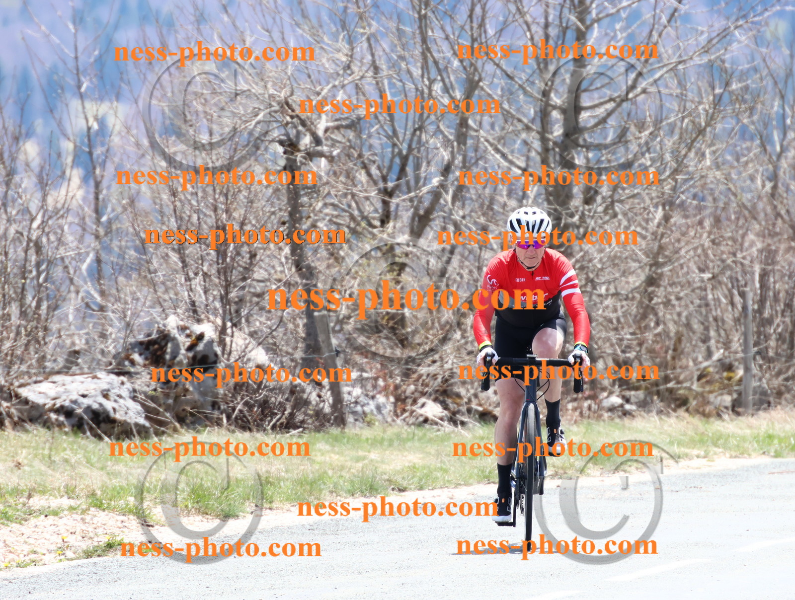 Col du Grand Colombier (332).JPG