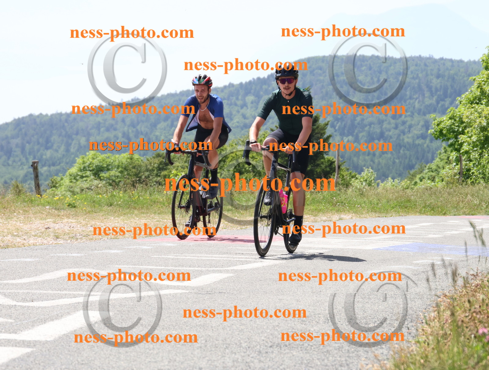 Col du grand Colombier (2298).JPG