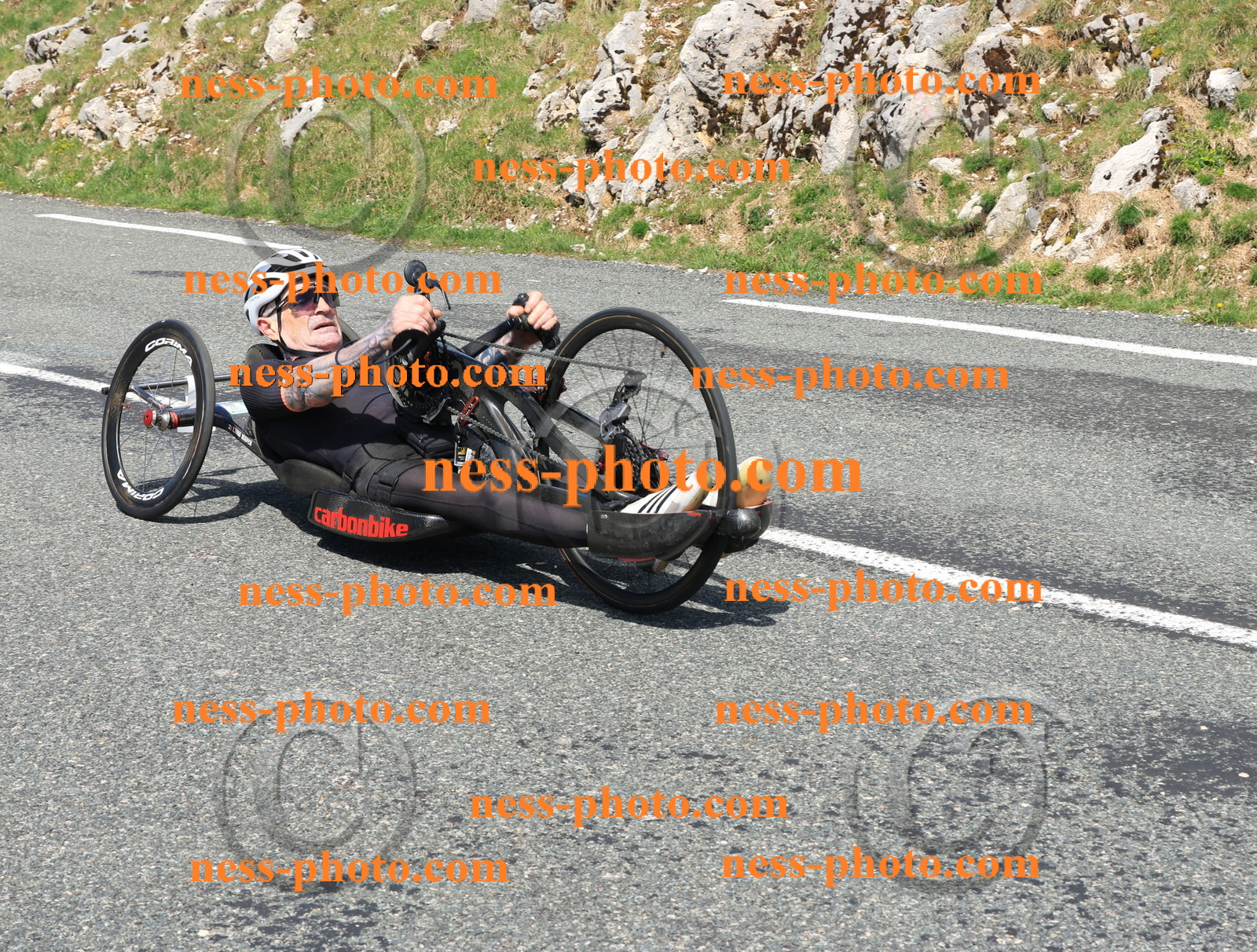 Col du Grand Colombier (1502).JPG