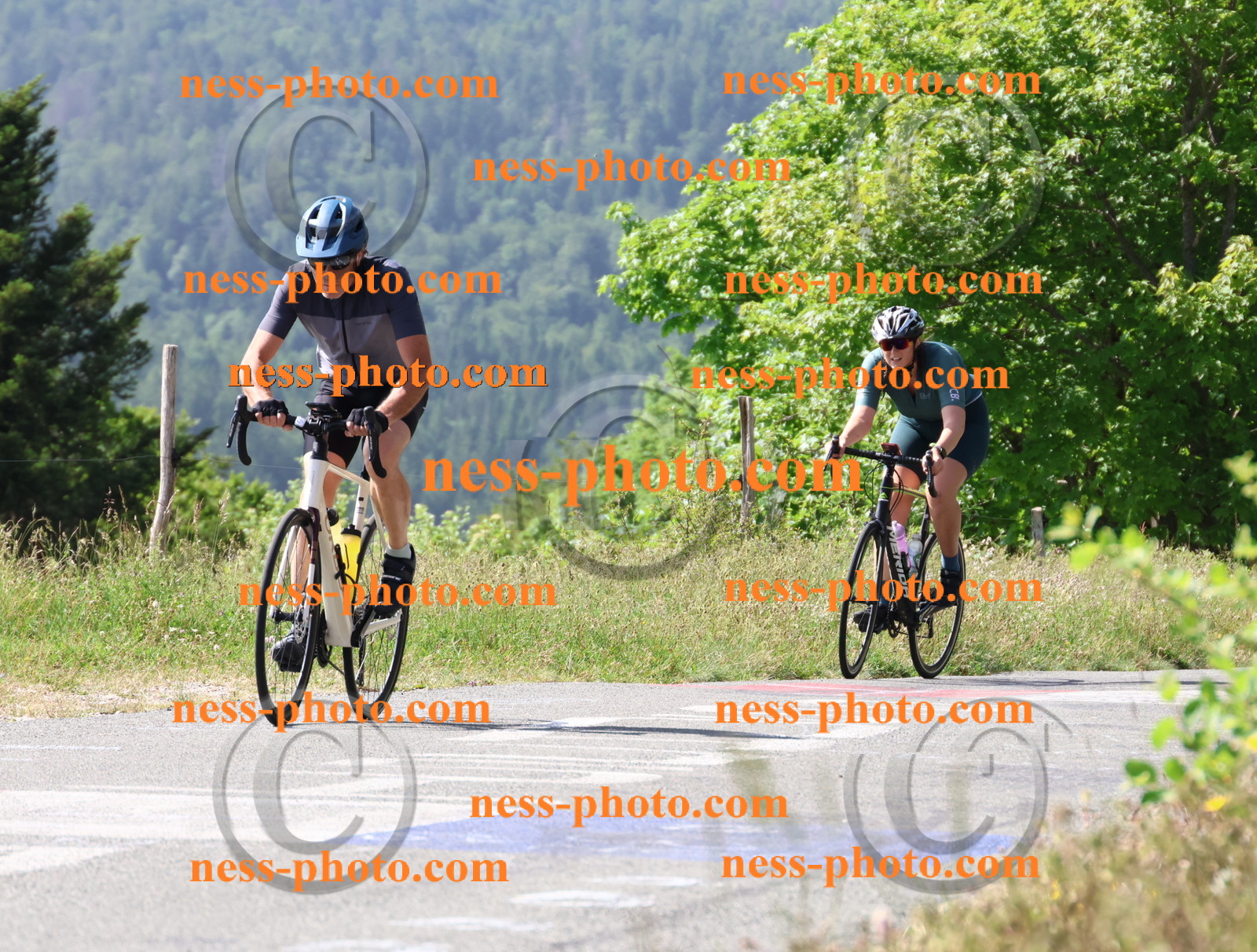 Col du grand Colombier (825).JPG